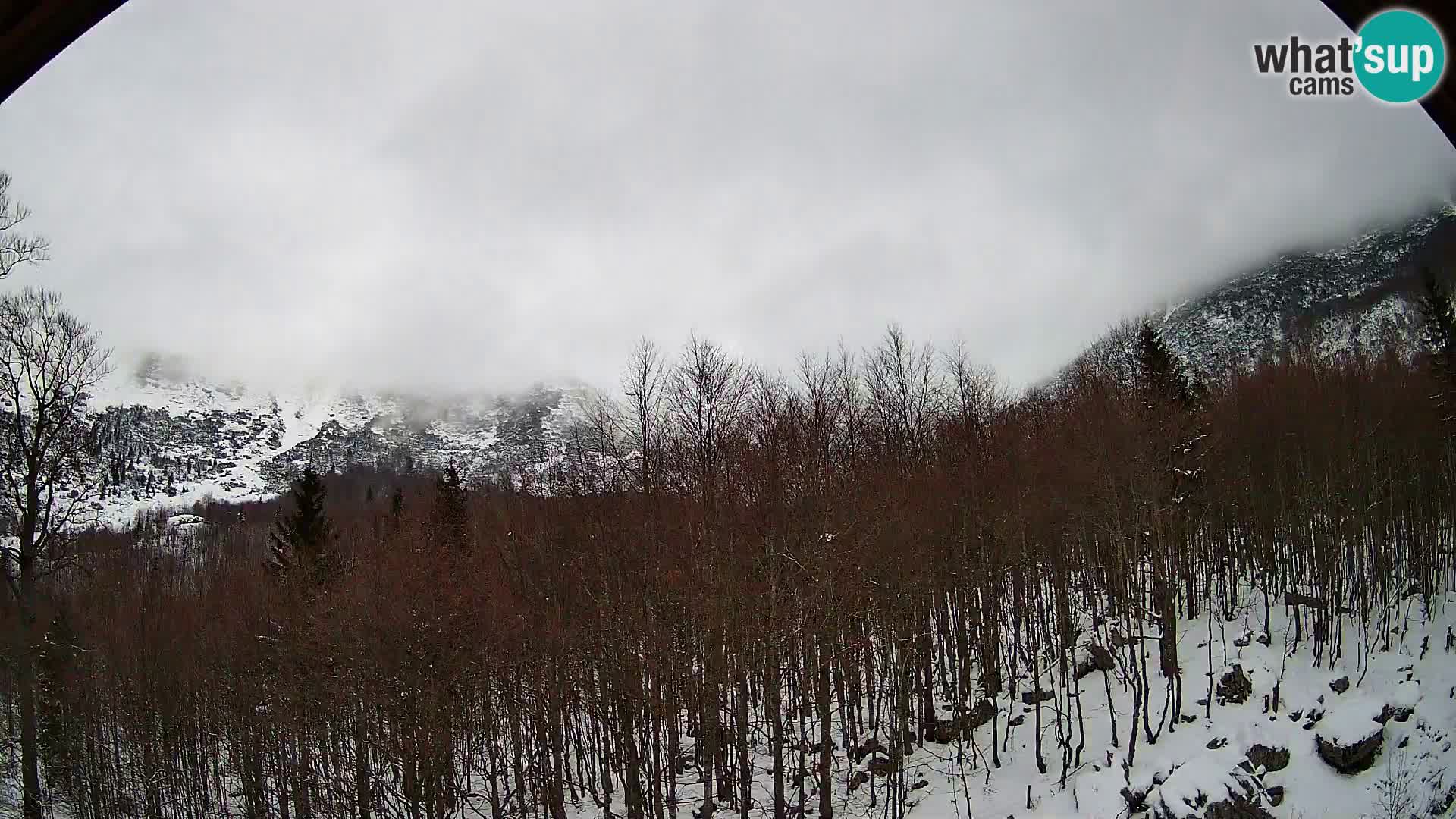 PLANINA RAZOR webcam (1315) | view to Vogel and Globoko