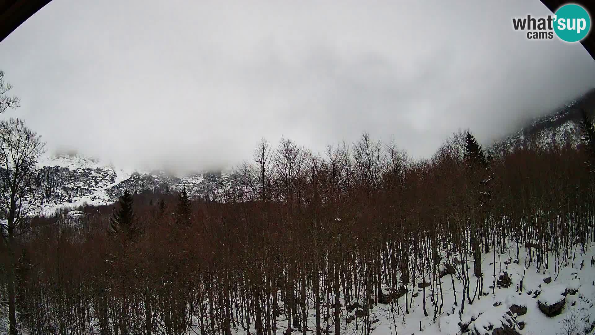 Webcam PLANINA RAZOR (1315) | Blick auf Vogel und Globoko