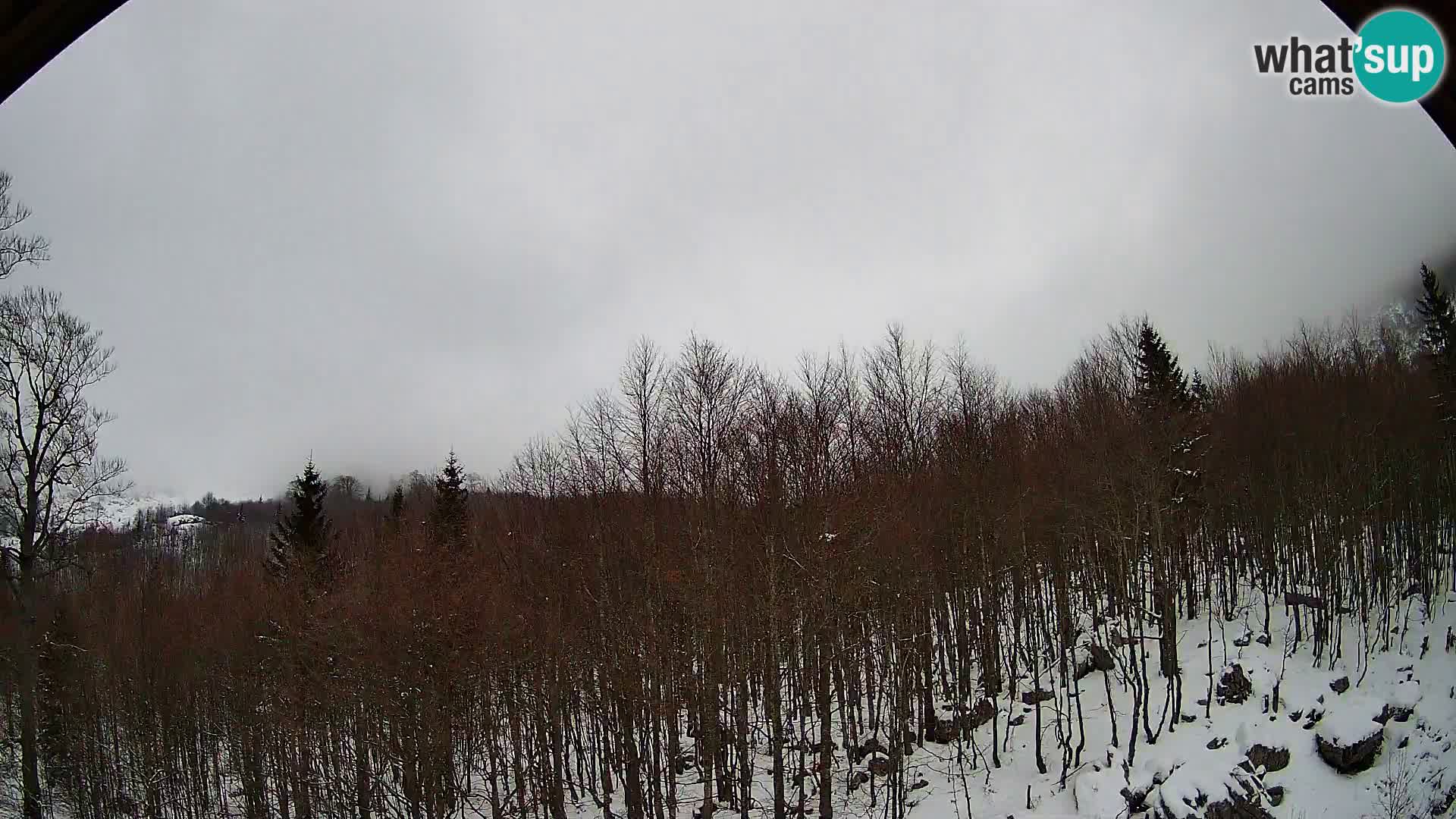 Webcam PLANINA RAZOR (1315) | Blick auf Vogel und Globoko