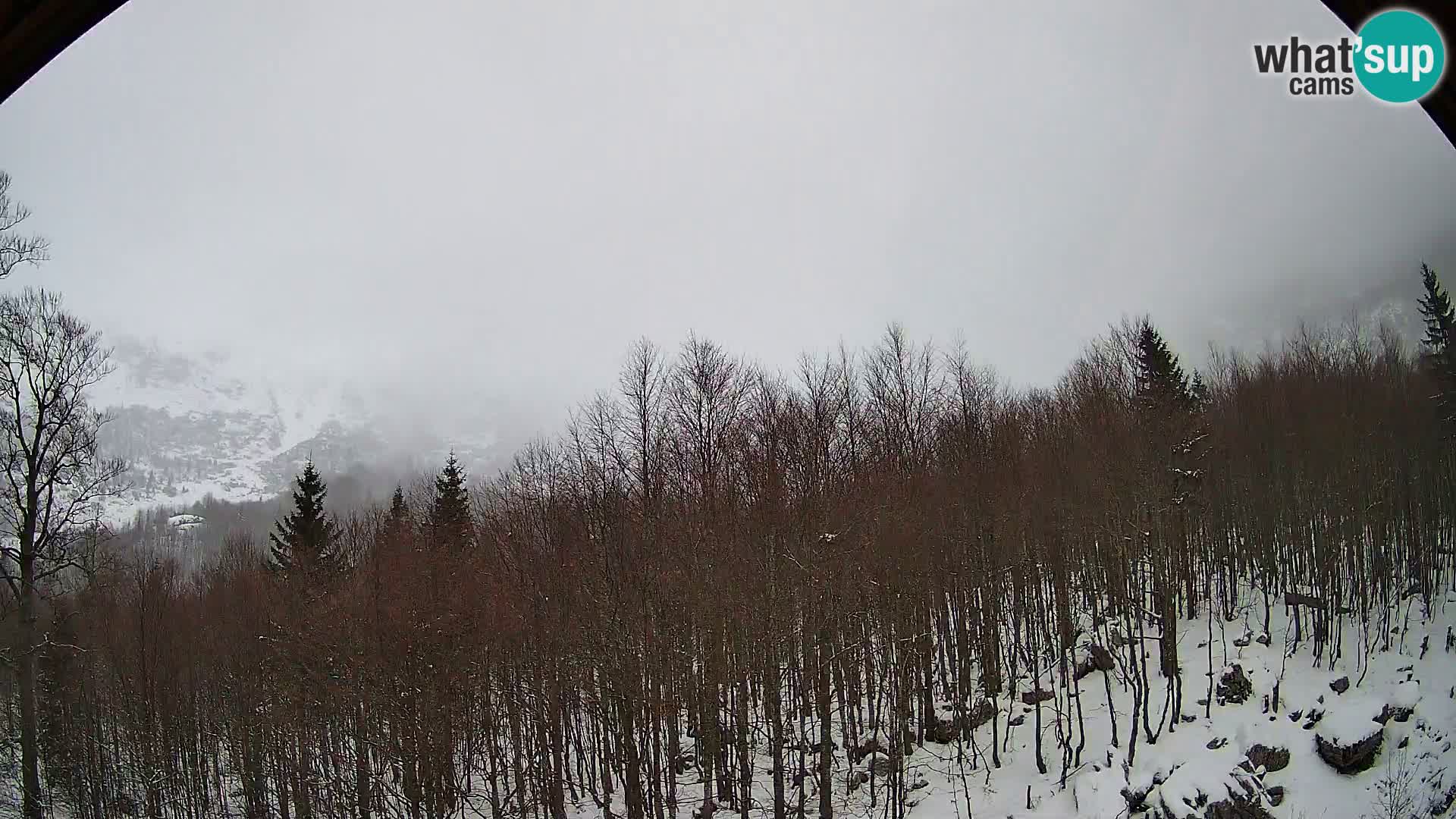 PLANINA RAZOR web kamera (1315) | pogled na Vogel i Globoko