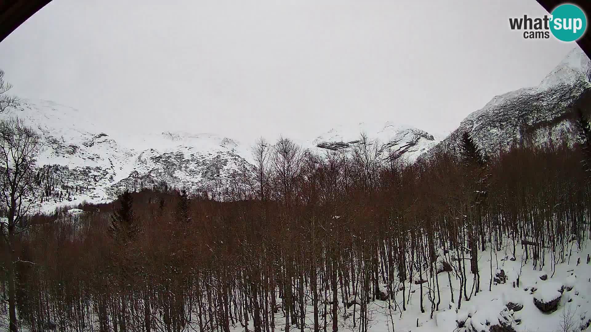 PLANINA RAZOR Live Cam (1315) | vista su Vogel e Globoko