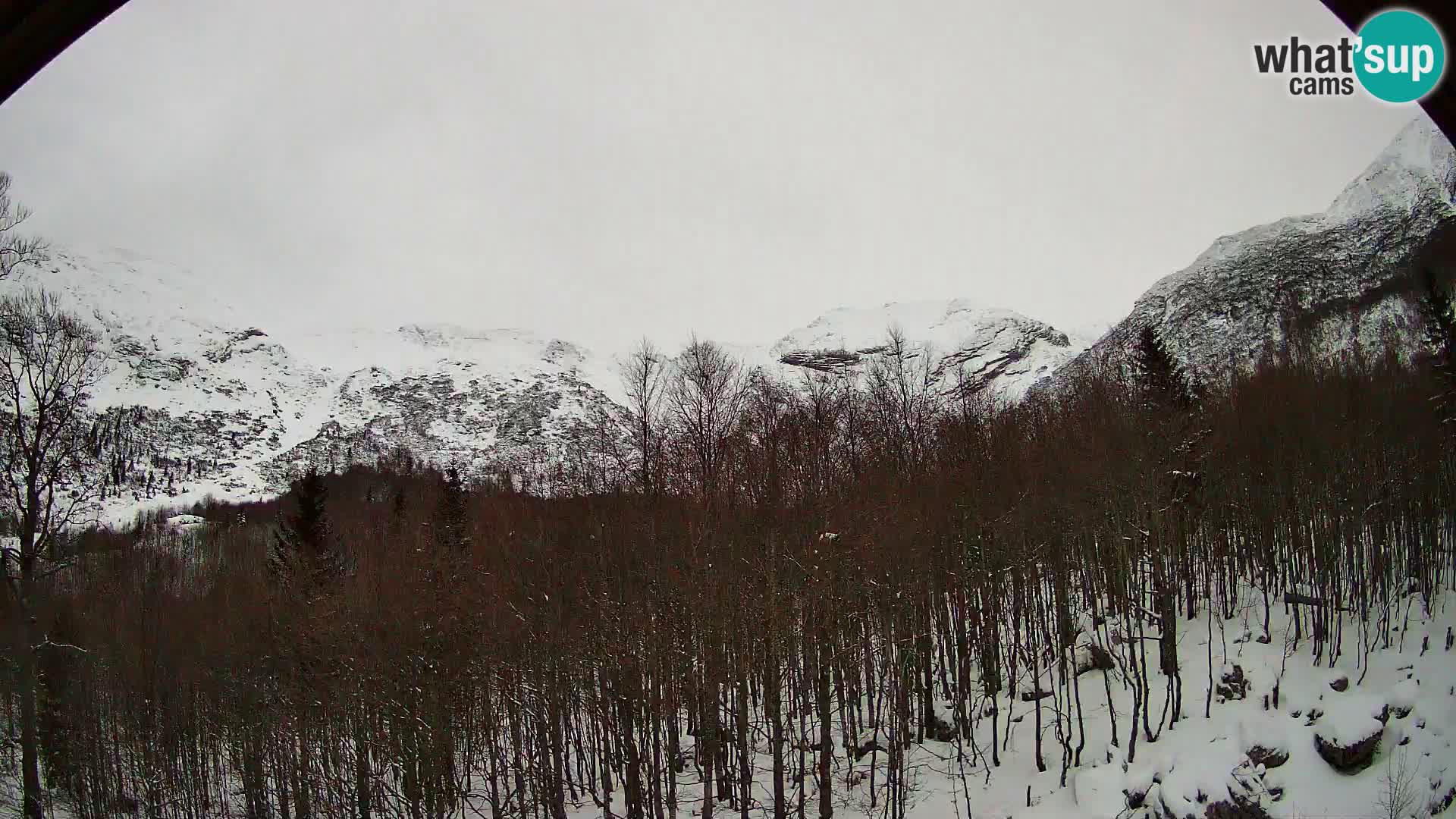 Livecam PLANINA RAZOR (1315) | vue sur Vogel et Globoko