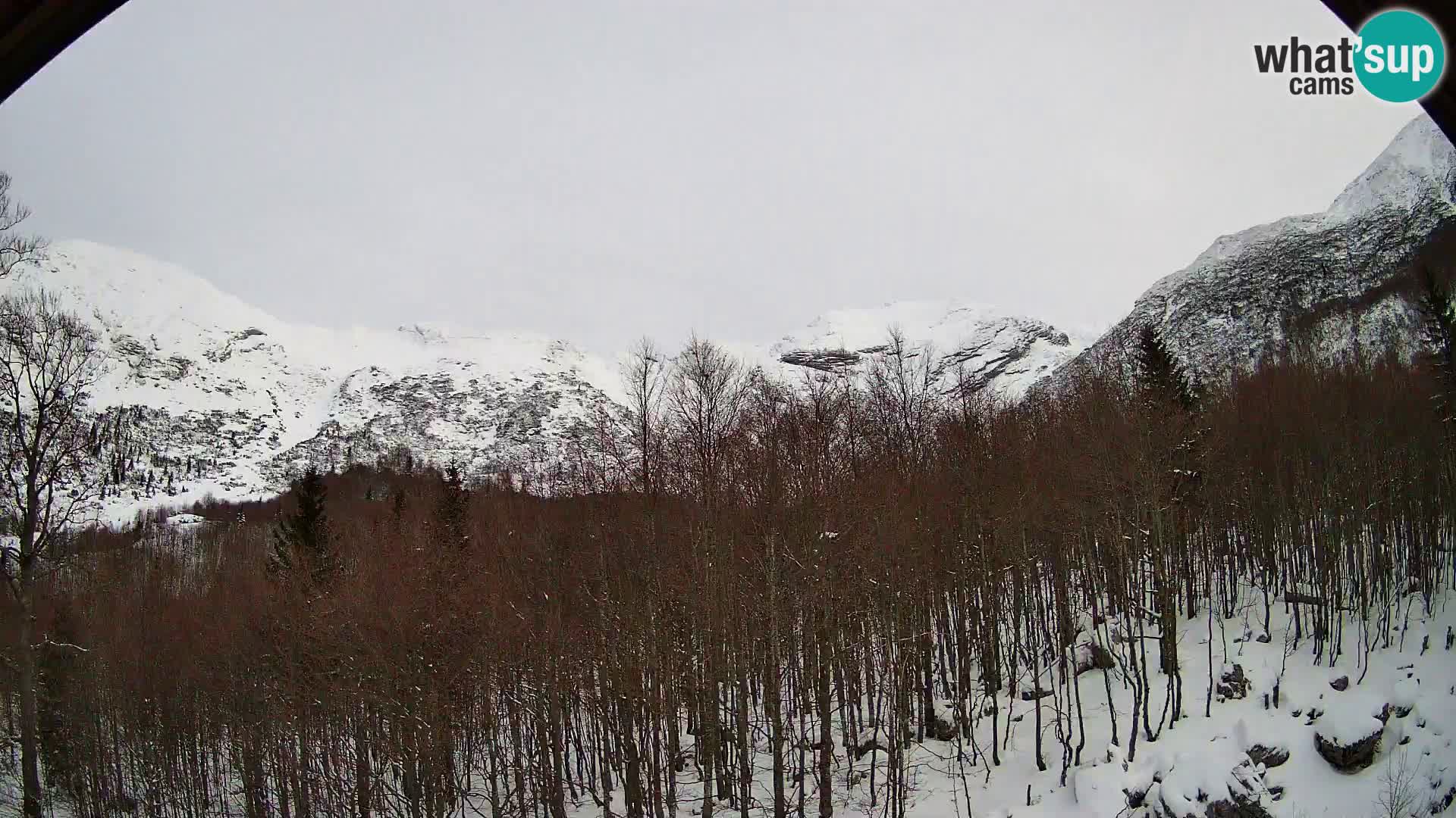 PLANINA RAZOR kamera (1315) | pogled na Vogel in Globoko