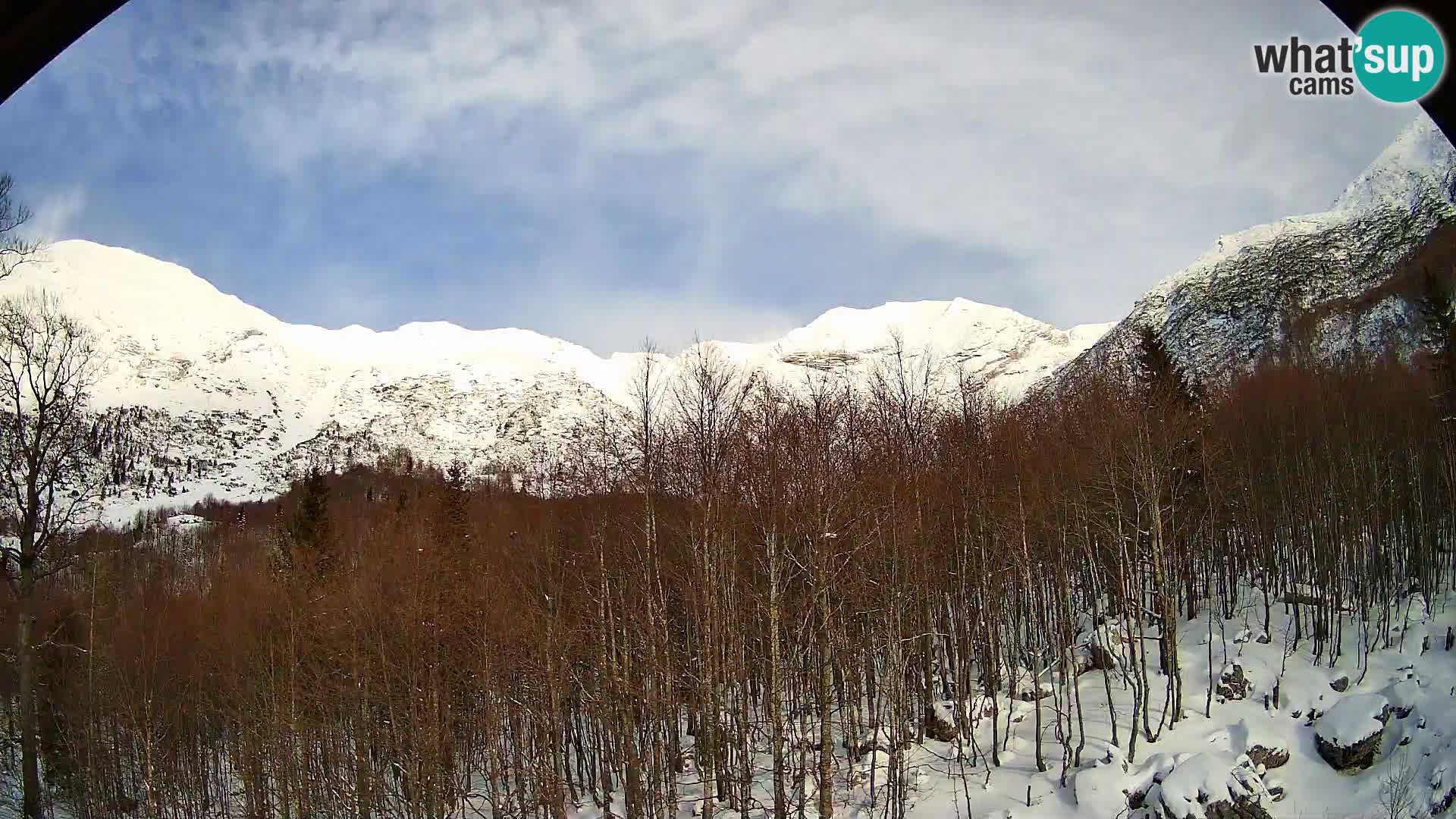 PLANINA RAZOR webcam (1315) | view to Vogel and Globoko