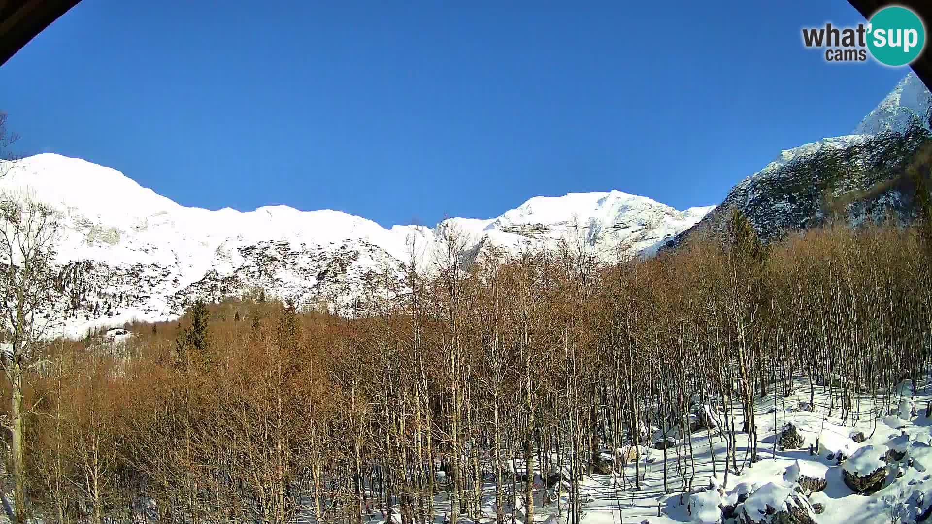 PLANINA RAZOR Live Cam (1315) | vista su Vogel e Globoko