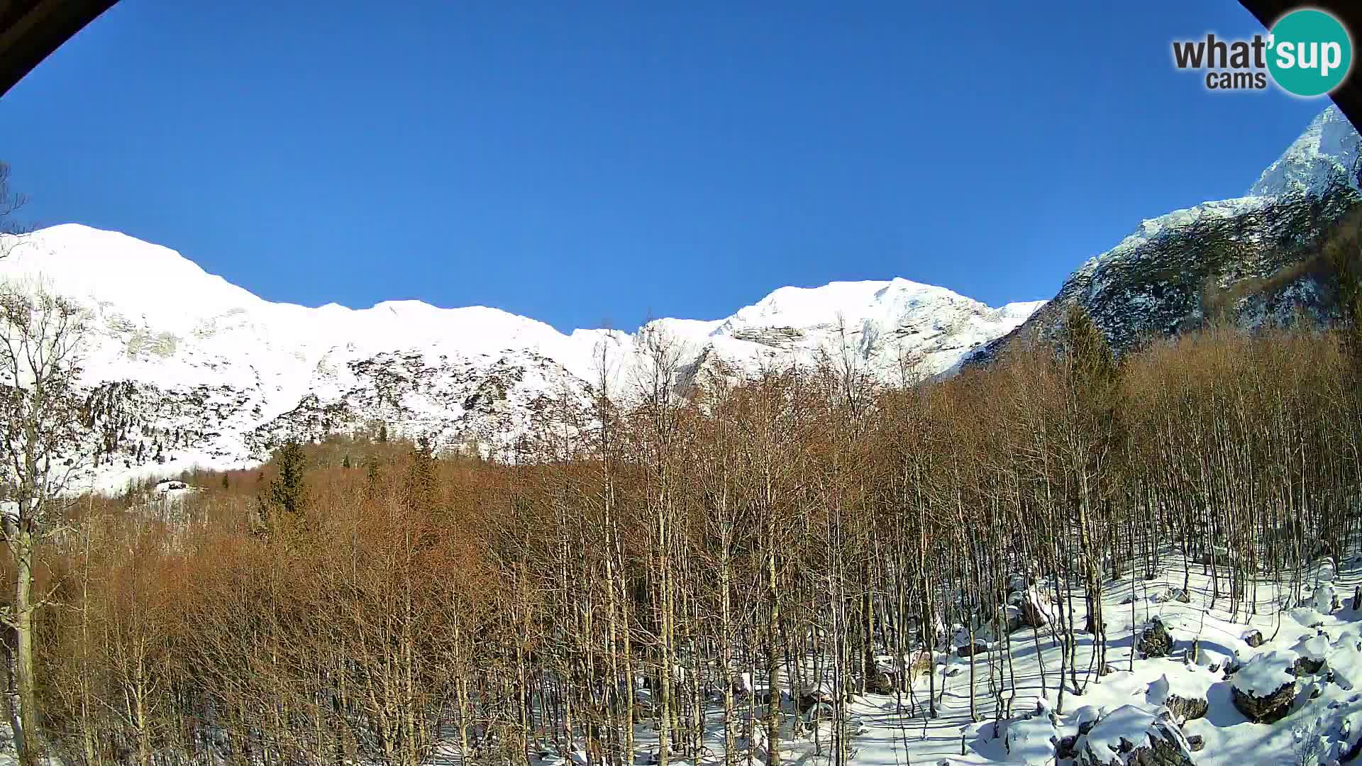 Webcam PLANINA RAZOR (1315) | Blick auf Vogel und Globoko