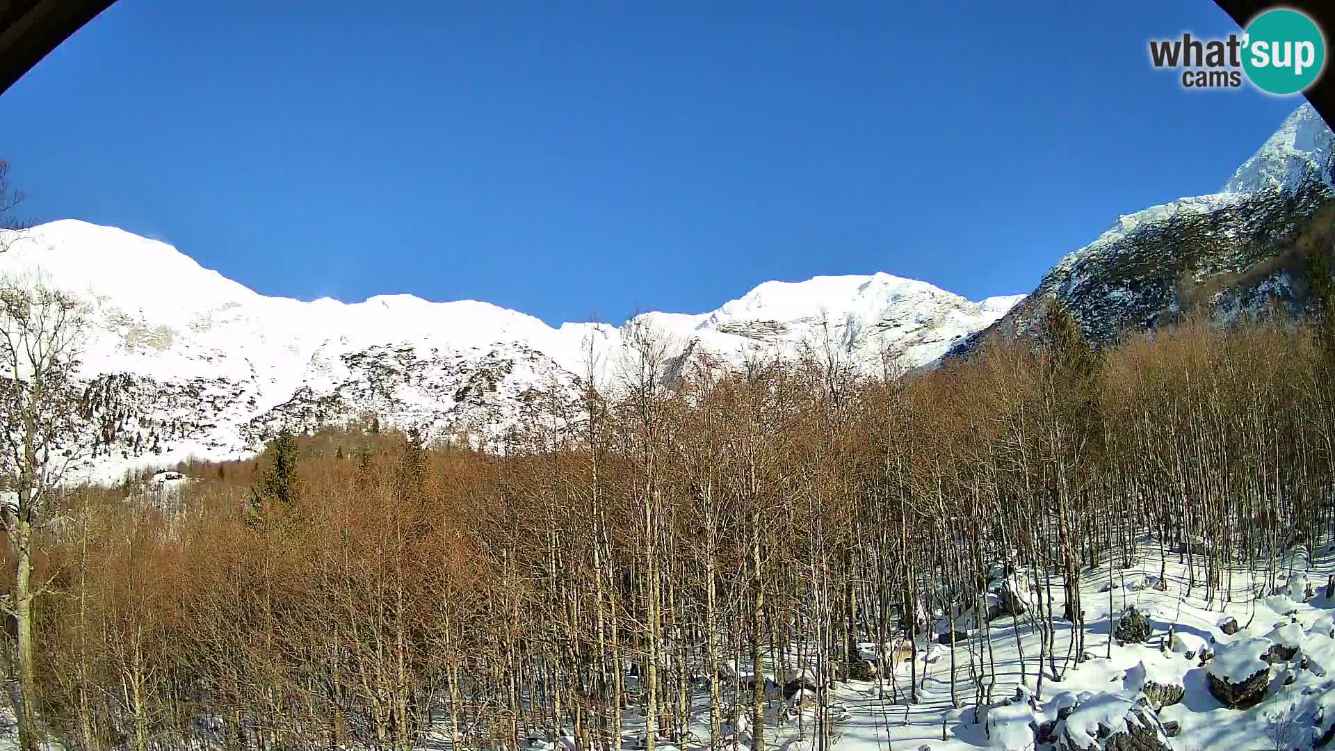 PLANINA RAZOR Live Cam (1315) | vista su Vogel e Globoko