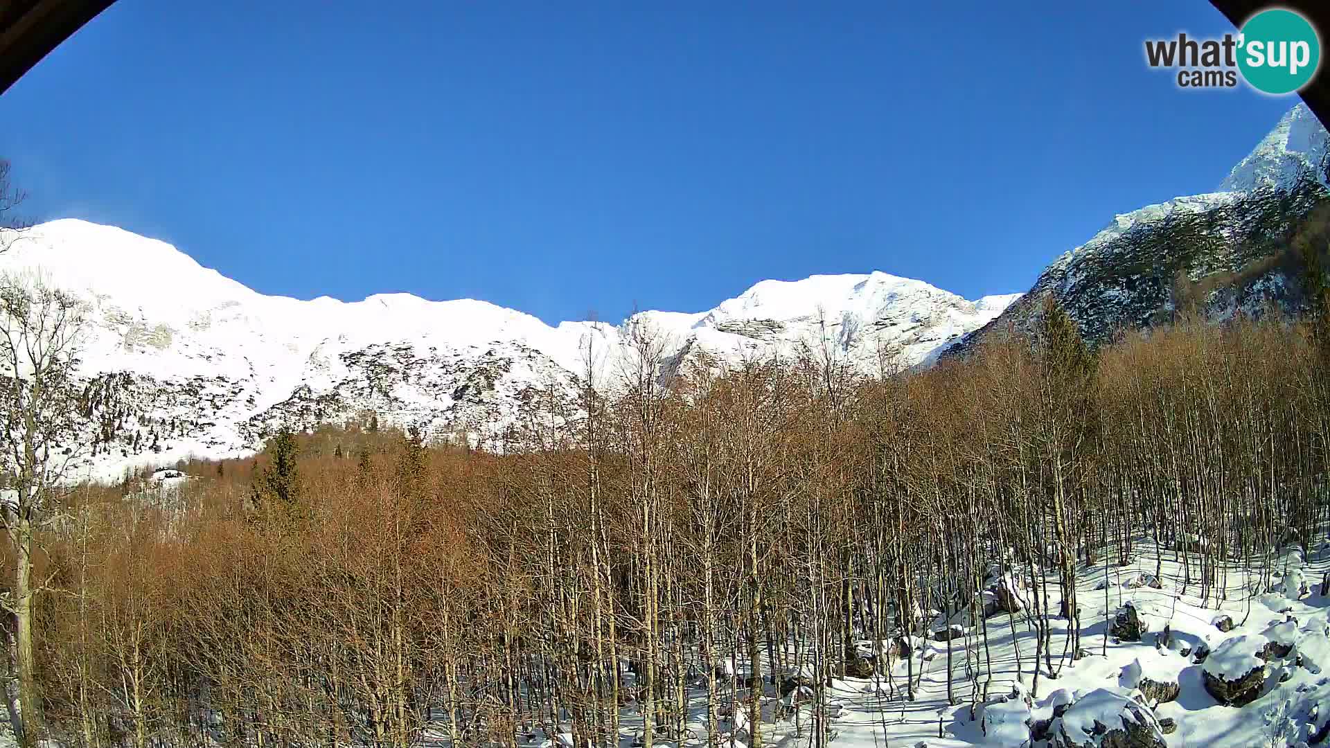 PLANINA RAZOR Live Cam (1315) | vista su Vogel e Globoko