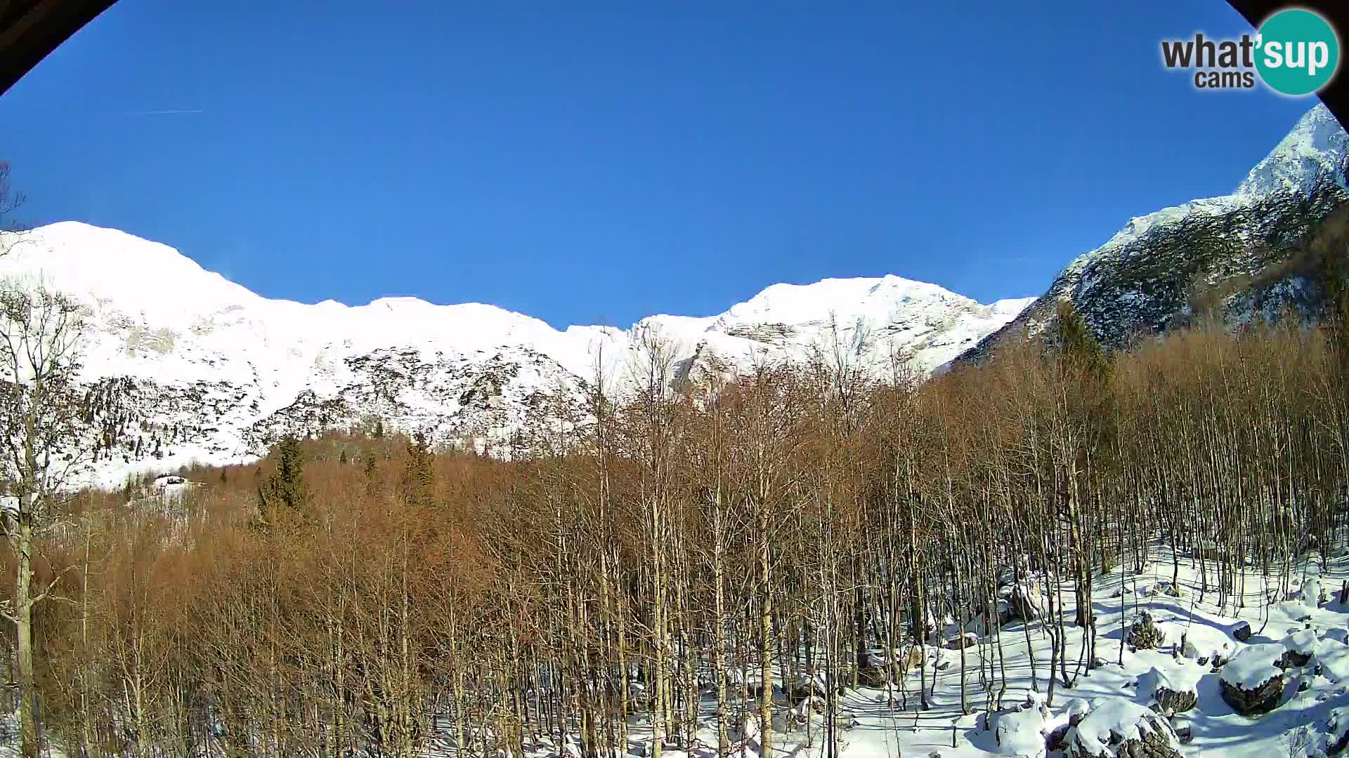 PLANINA RAZOR Live Cam (1315) | vista su Vogel e Globoko