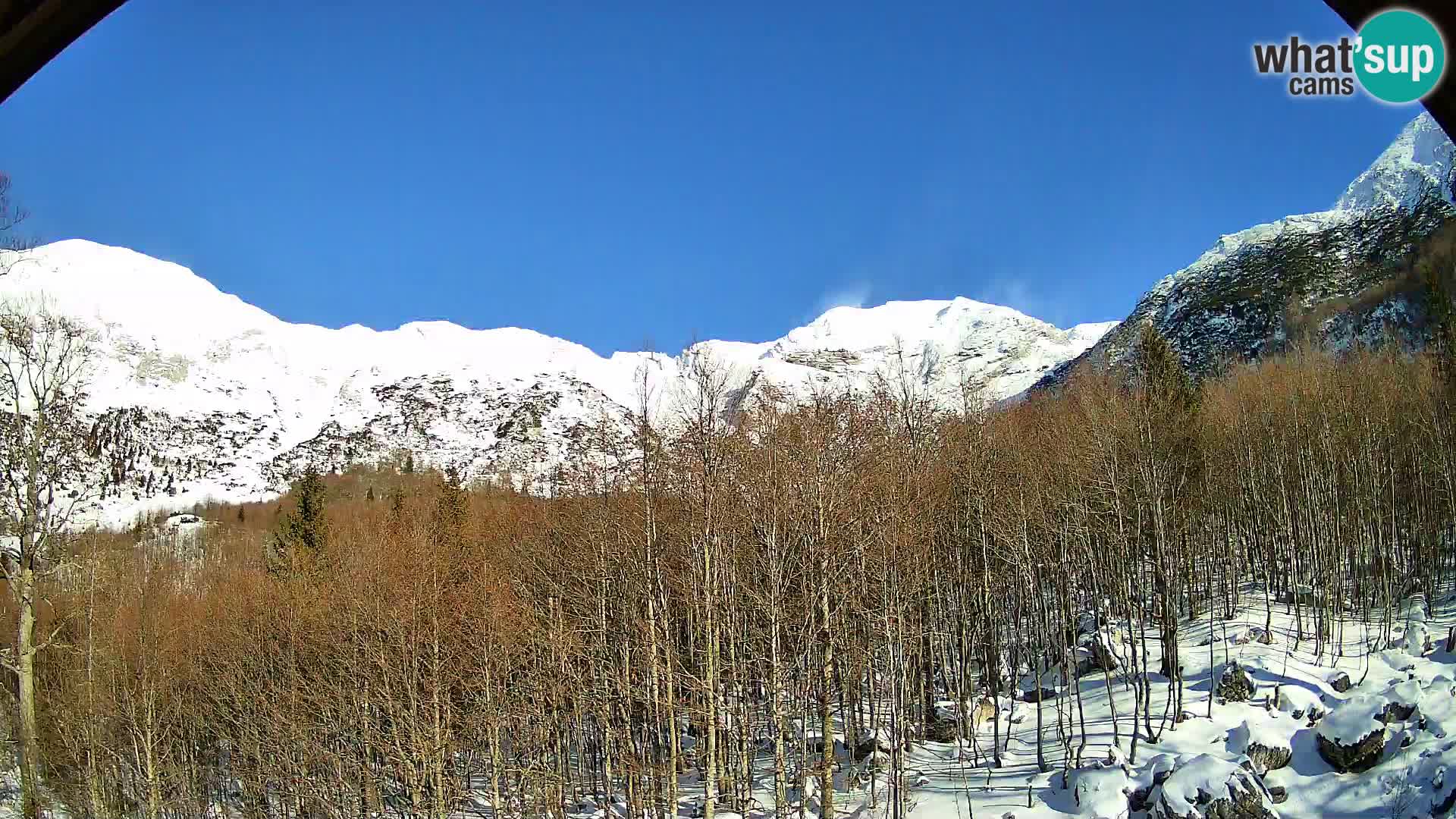 PLANINA RAZOR Live Cam (1315) | vista su Vogel e Globoko