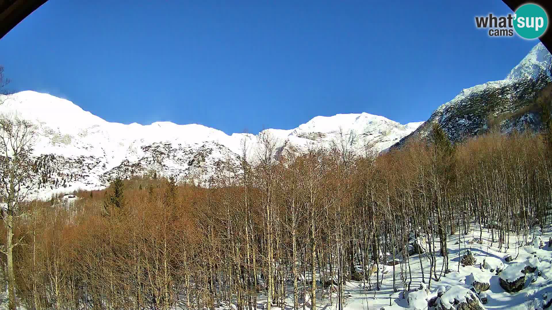 Webcam PLANINA RAZOR (1315) | Blick auf Vogel und Globoko