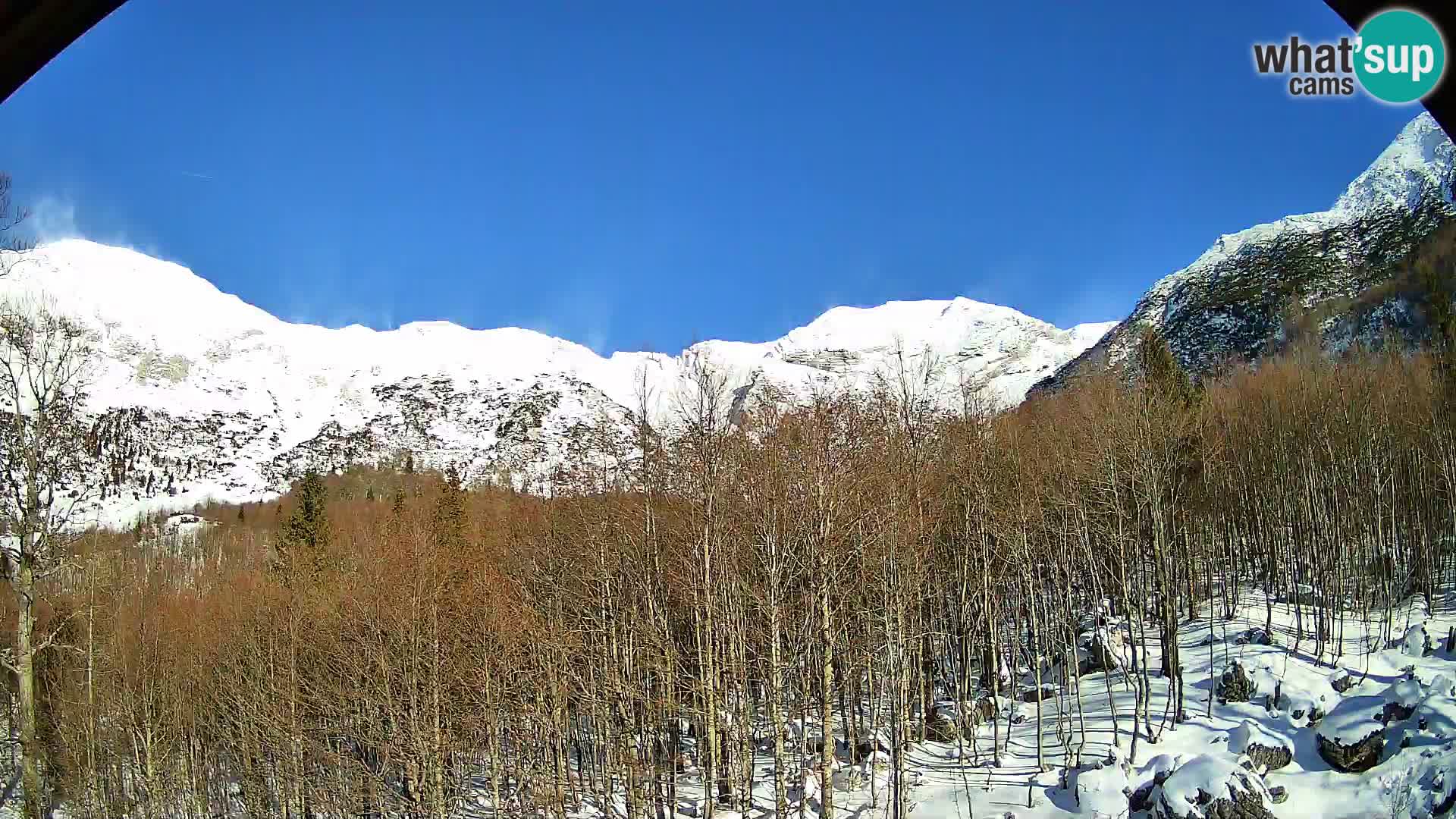 PLANINA RAZOR Live Cam (1315) | vista su Vogel e Globoko