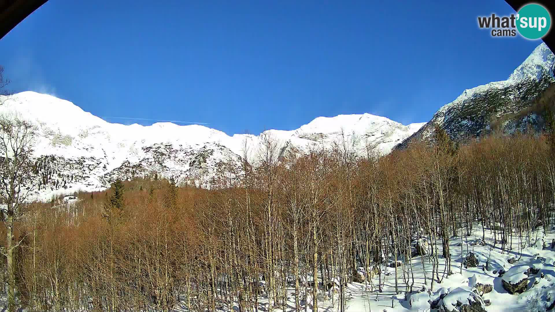 Webcam PLANINA RAZOR (1315) | Blick auf Vogel und Globoko