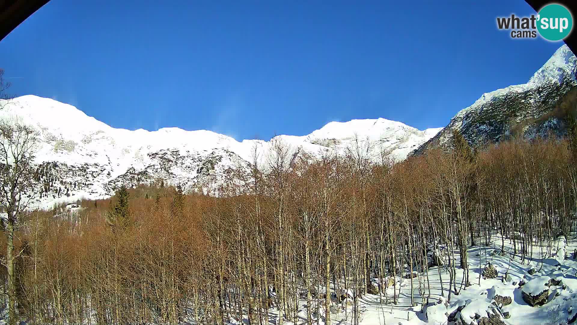 PLANINA RAZOR webcam (1315) | view to Vogel and Globoko