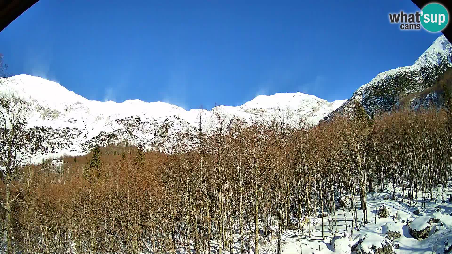 Livecam PLANINA RAZOR (1315) | vue sur Vogel et Globoko