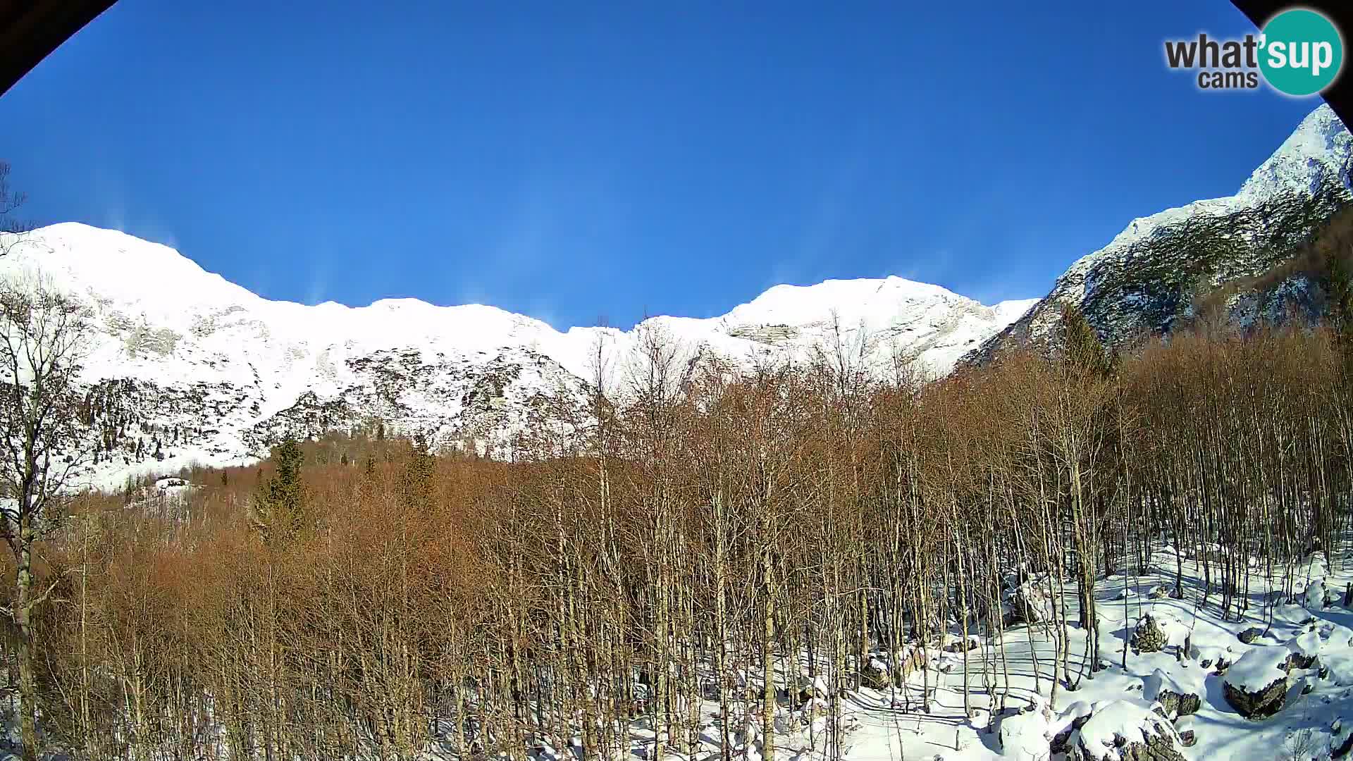 Webcam PLANINA RAZOR (1315) | Blick auf Vogel und Globoko