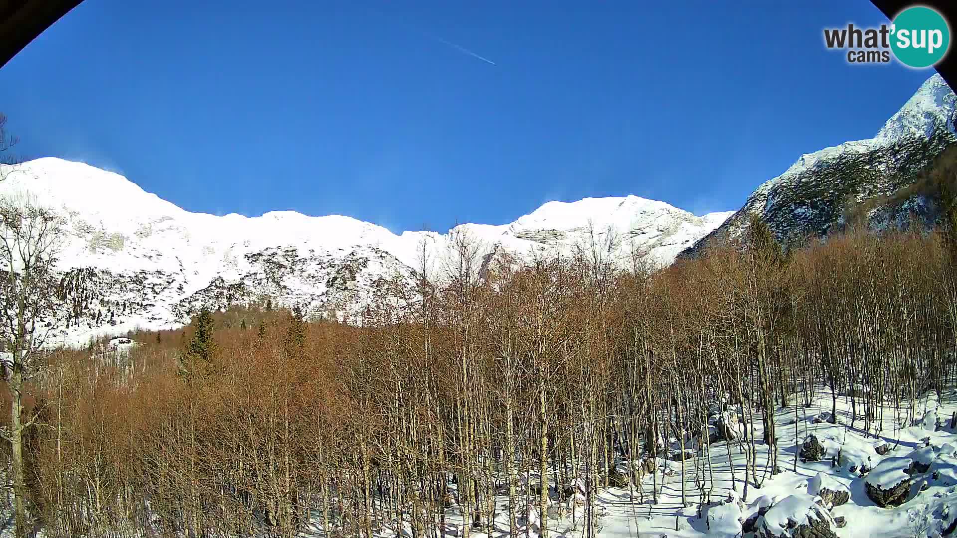 PLANINA RAZOR Live Cam (1315) | vista su Vogel e Globoko