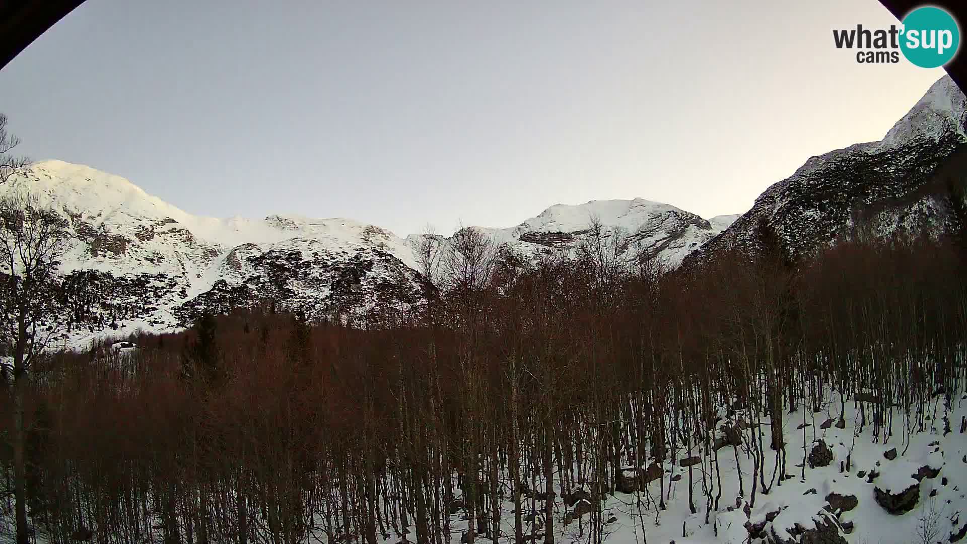 Livecam PLANINA RAZOR (1315) | vue sur Vogel et Globoko