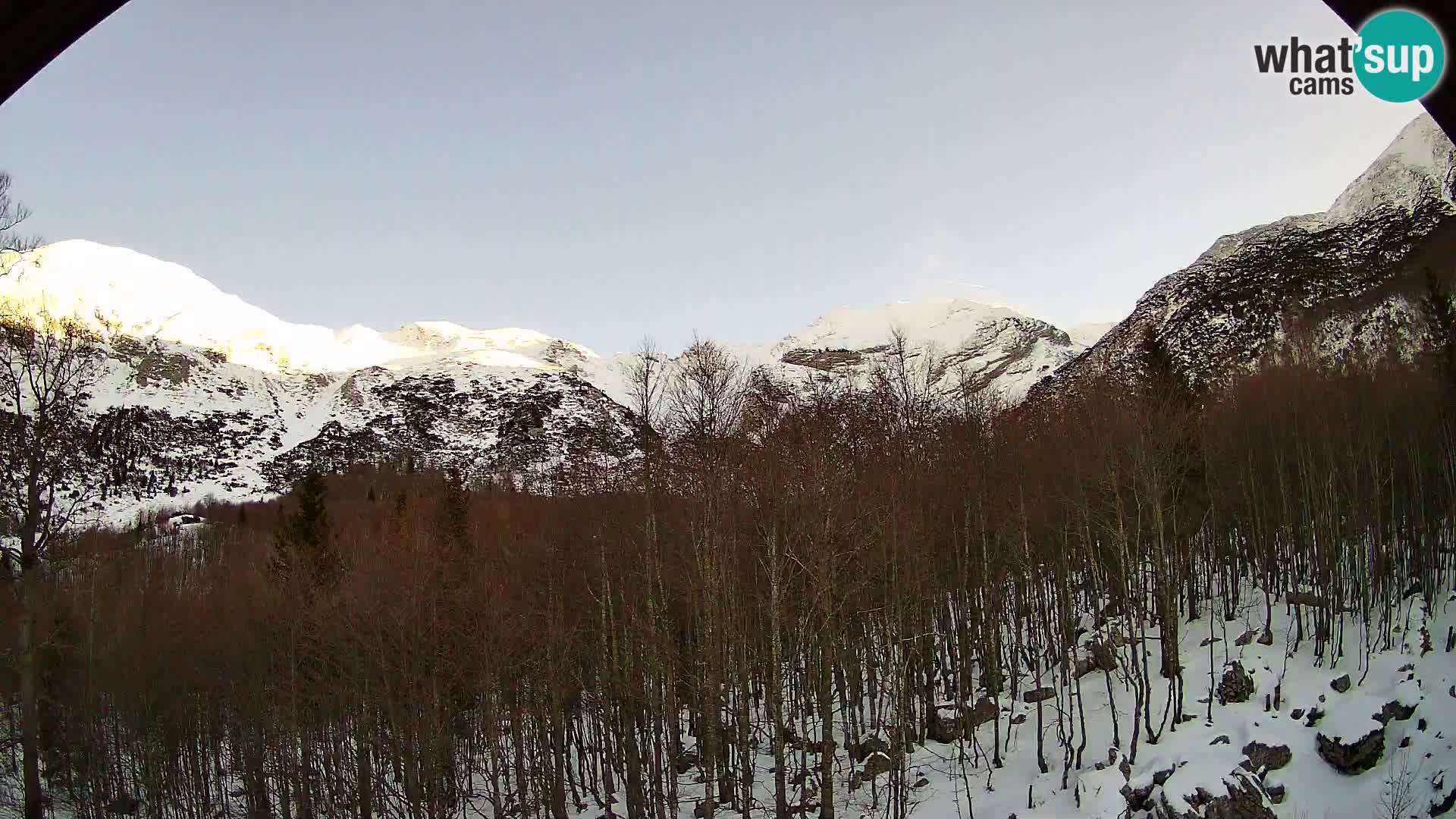 Livecam PLANINA RAZOR (1315) | vue sur Vogel et Globoko