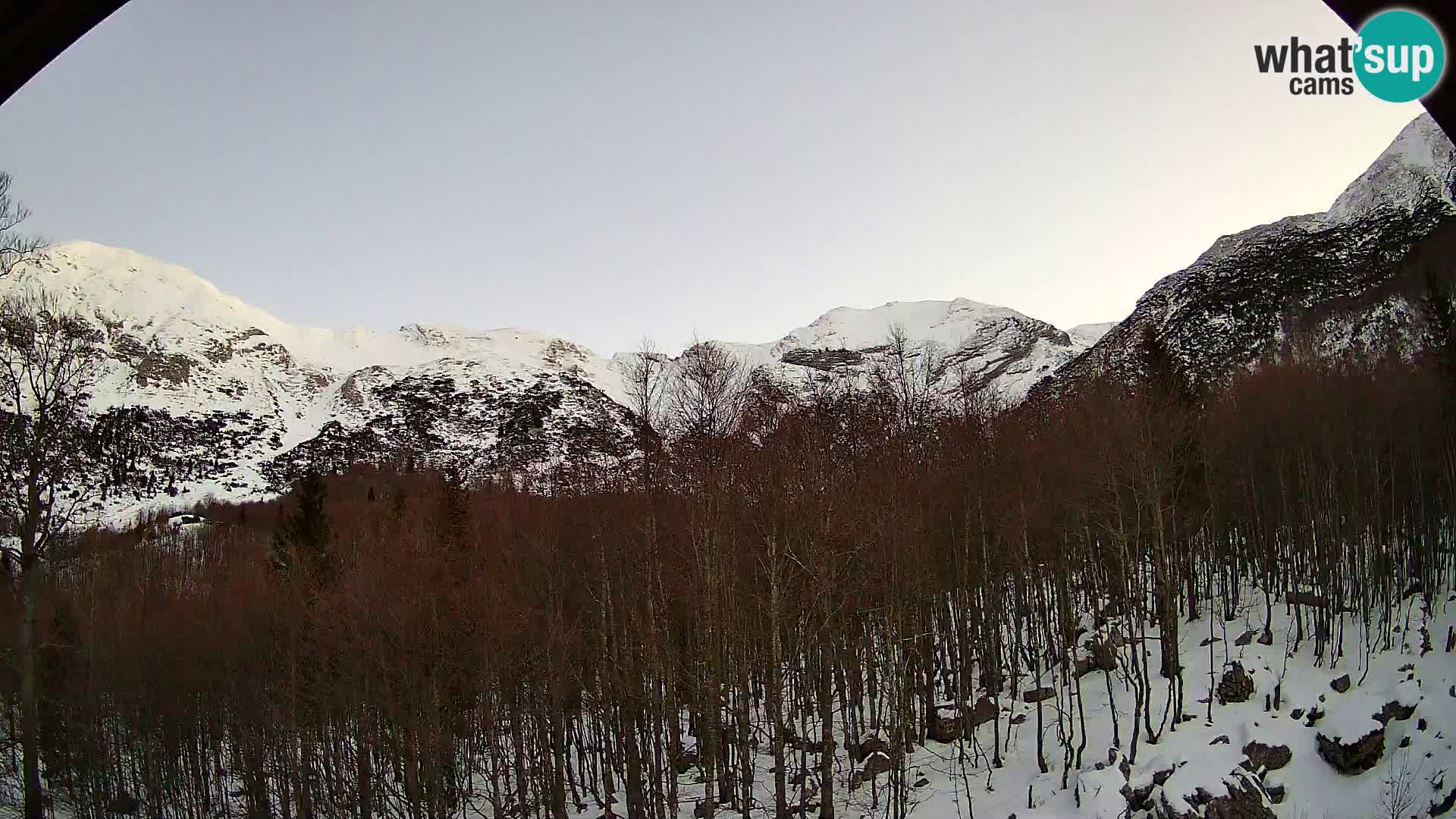 Webcam PLANINA RAZOR (1315) | Blick auf Vogel und Globoko