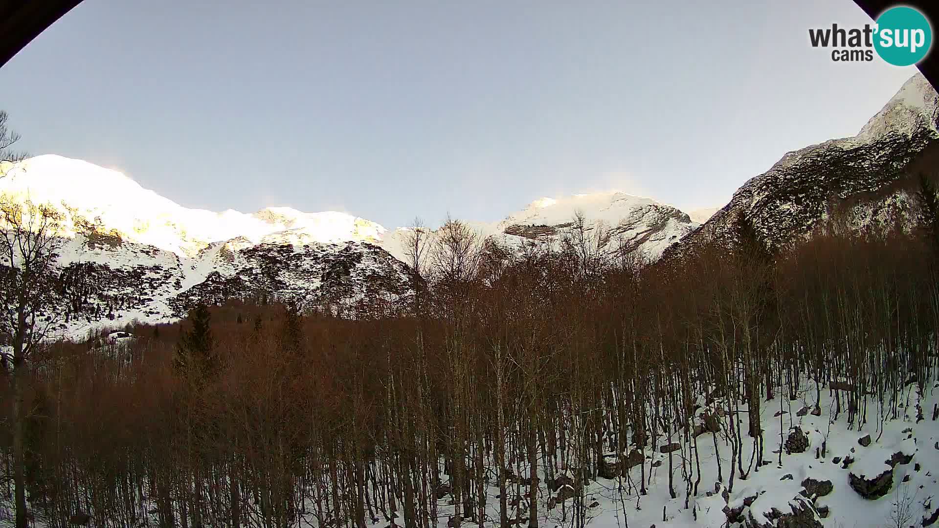 Livecam PLANINA RAZOR (1315) | vue sur Vogel et Globoko