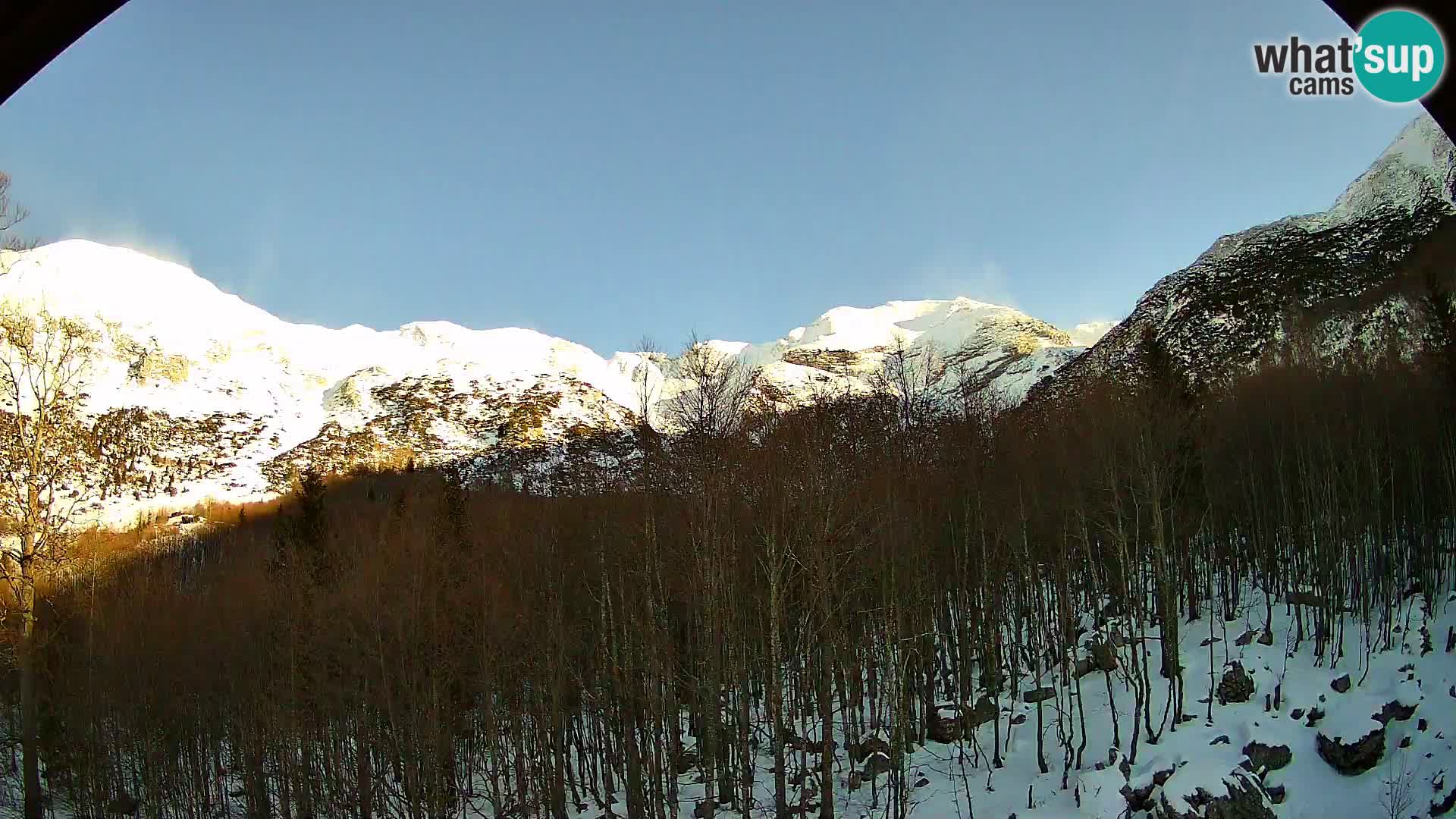 PLANINA RAZOR webcam (1315) | view to Vogel and Globoko