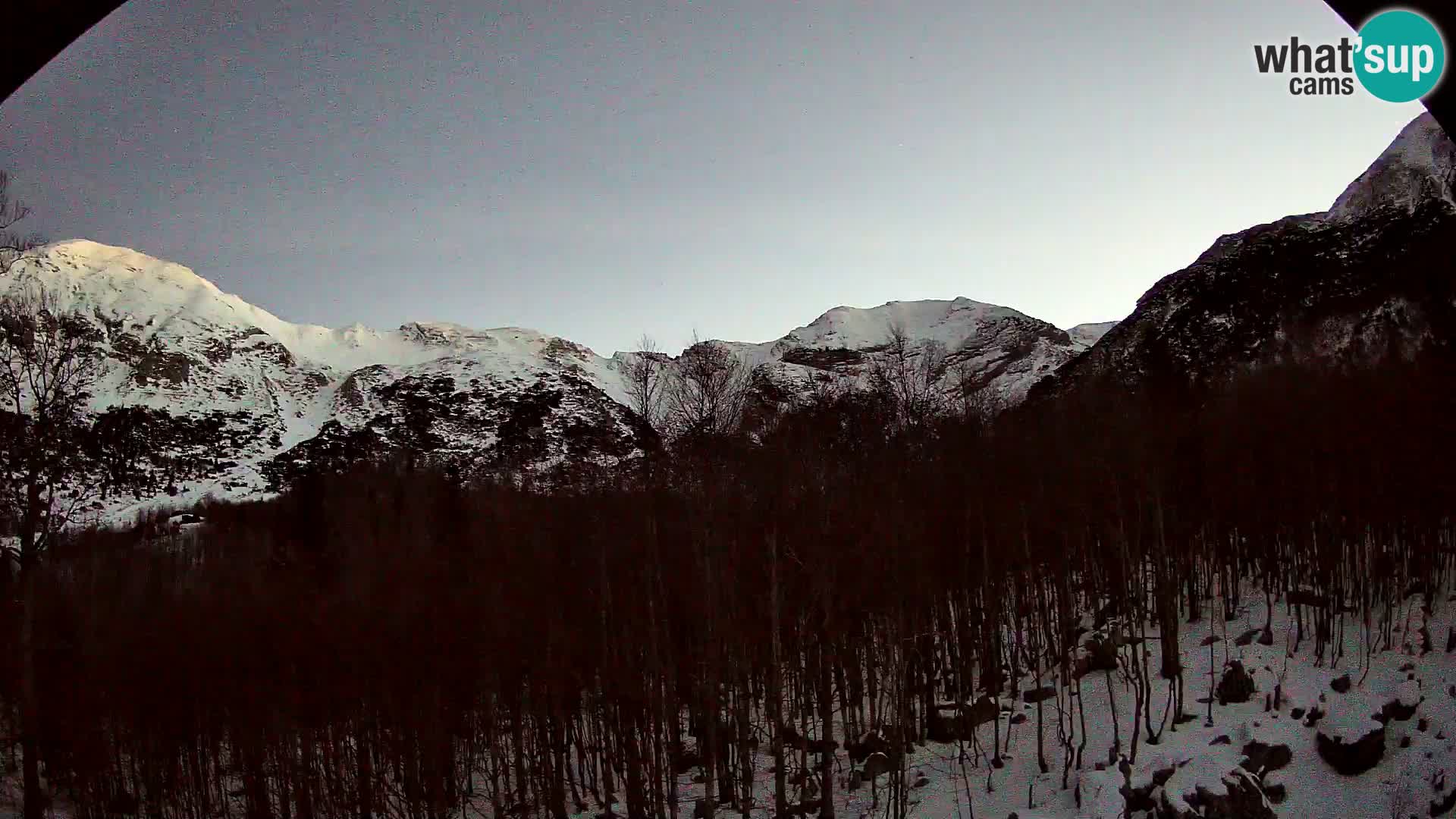 Webcam PLANINA RAZOR (1315) | Blick auf Vogel und Globoko