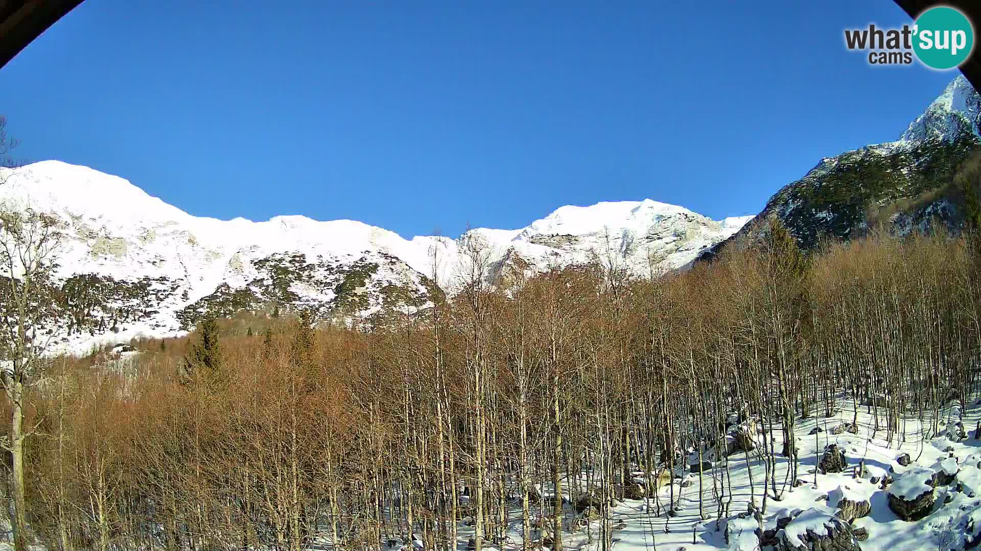 PLANINA RAZOR Live Cam (1315) | vista su Vogel e Globoko