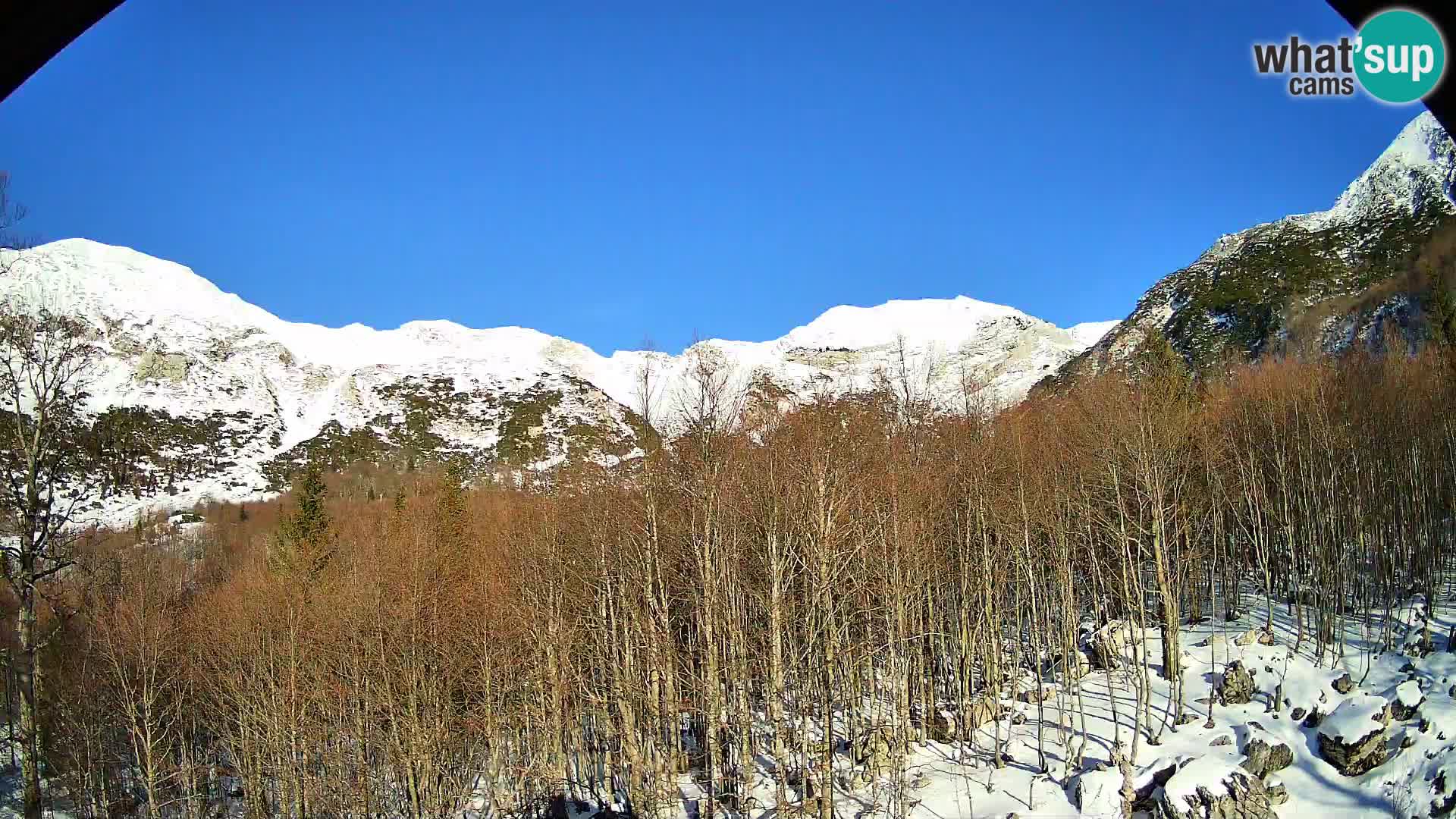 PLANINA RAZOR webcam (1315) | view to Vogel and Globoko