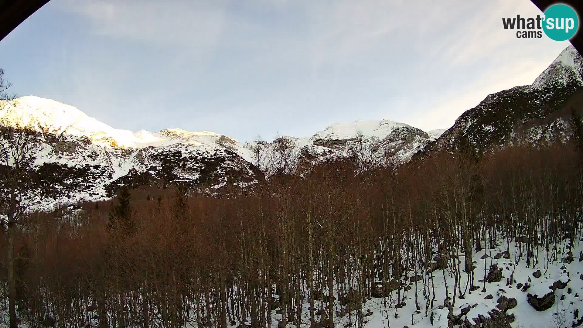 Webcam PLANINA RAZOR (1315) | Blick auf Vogel und Globoko