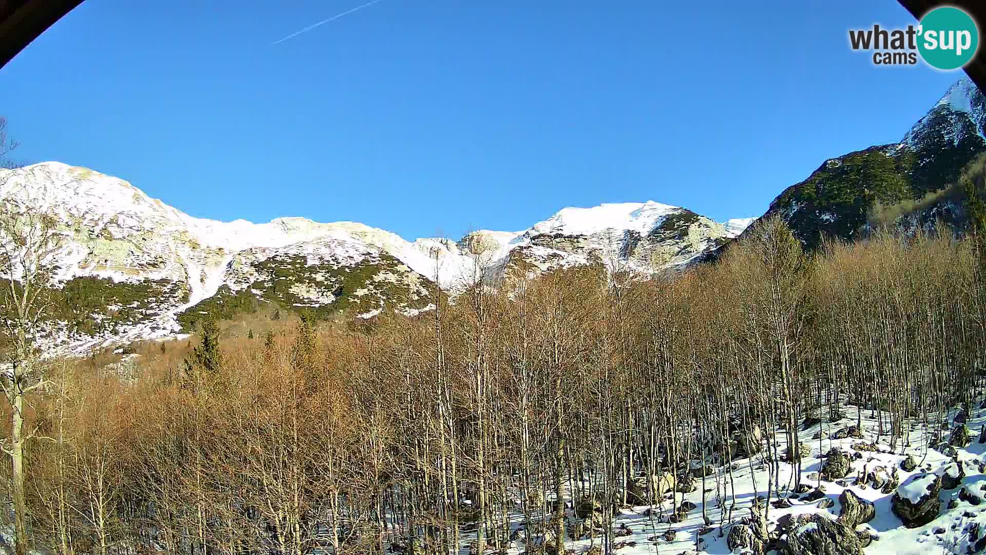 Livecam PLANINA RAZOR (1315) | vue sur Vogel et Globoko