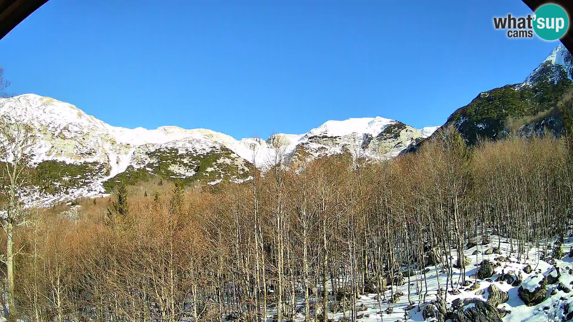 Cámara web PLANINA RAZOR (1315) | vista a Vogel y Globoko