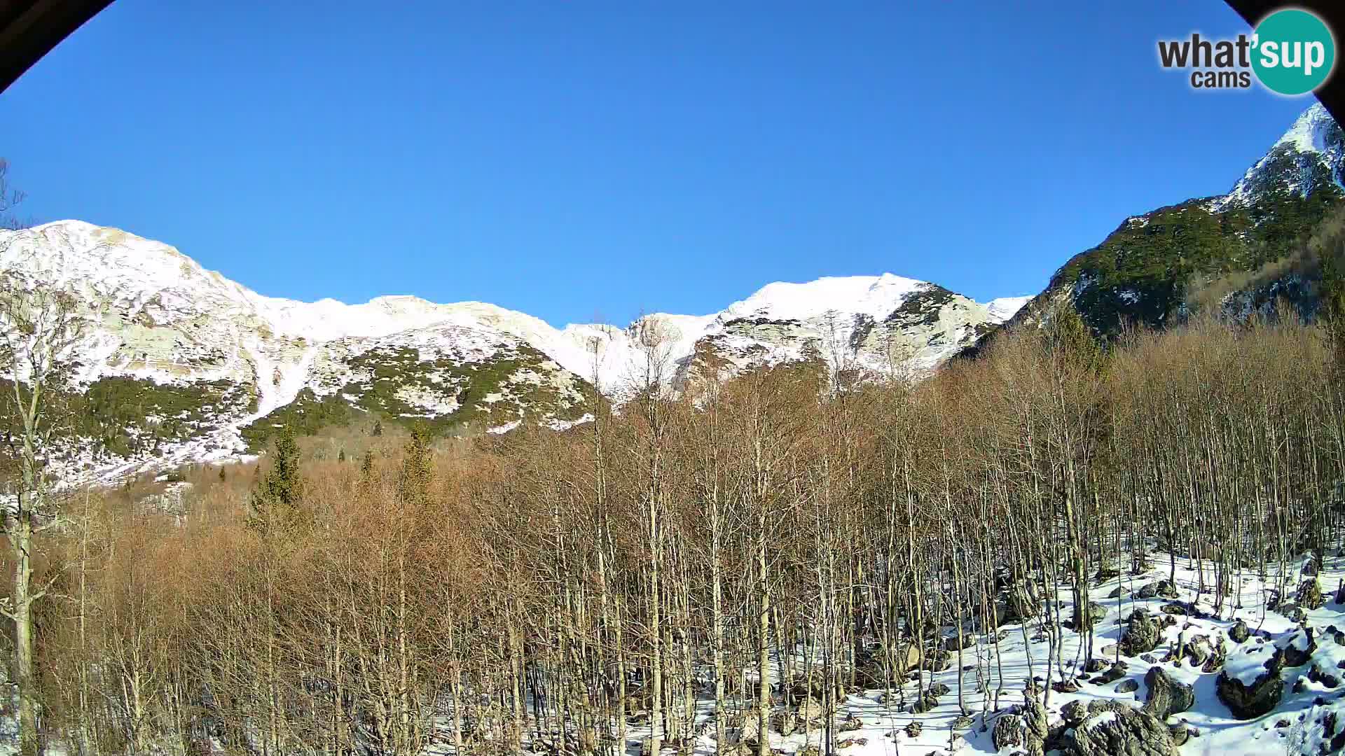 Livecam PLANINA RAZOR (1315) | vue sur Vogel et Globoko