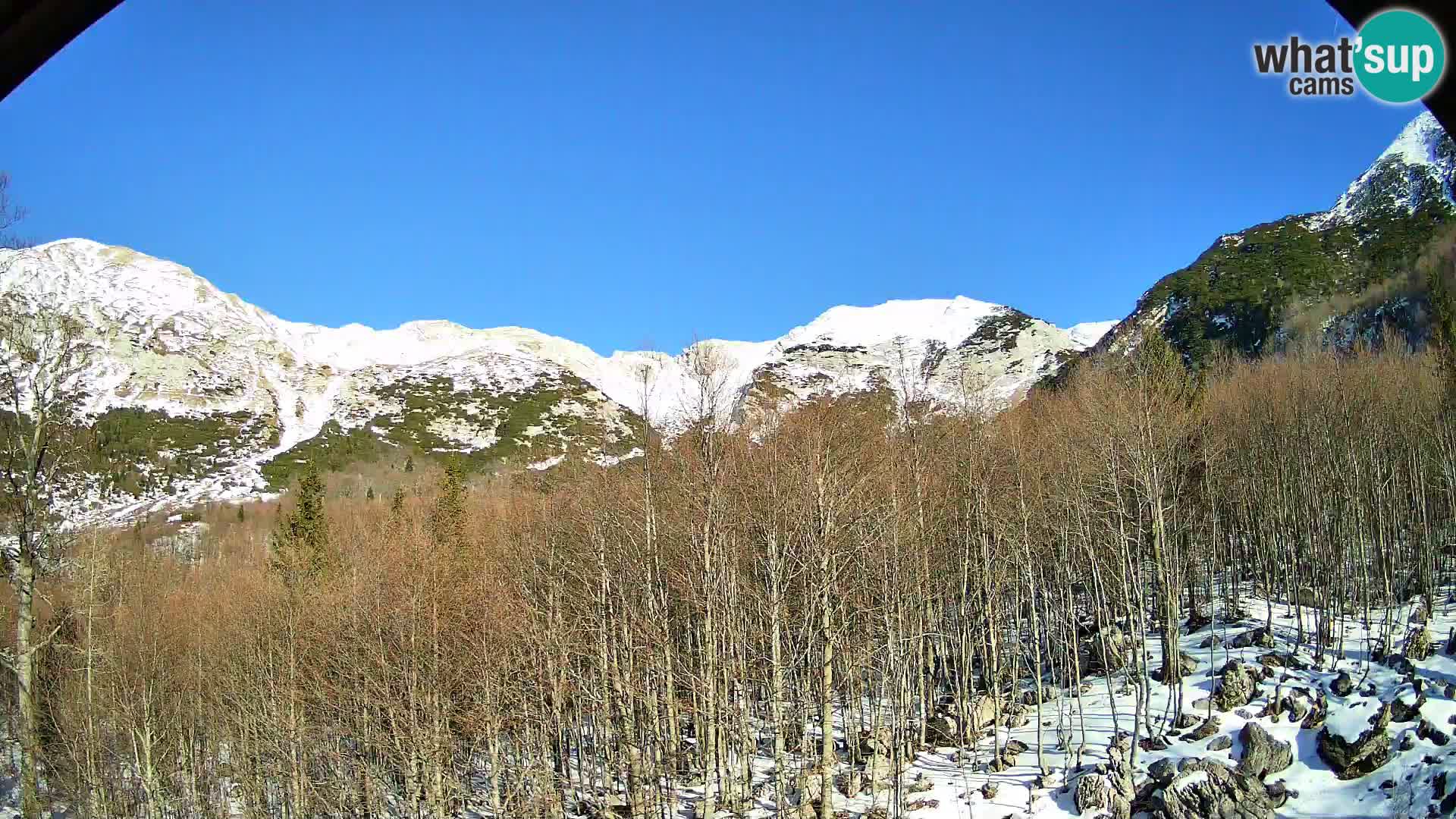 Livecam PLANINA RAZOR (1315) | vue sur Vogel et Globoko