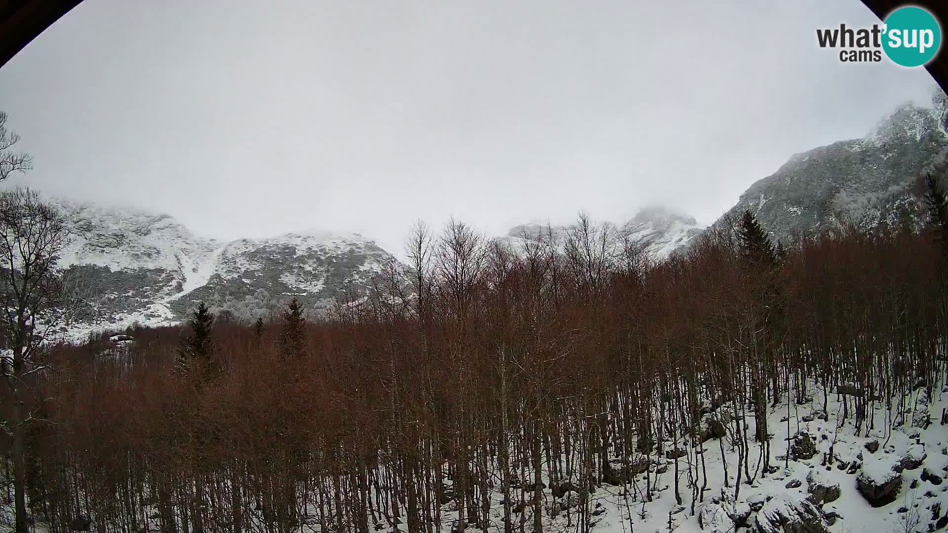 PLANINA RAZOR web kamera (1315) | pogled na Vogel i Globoko