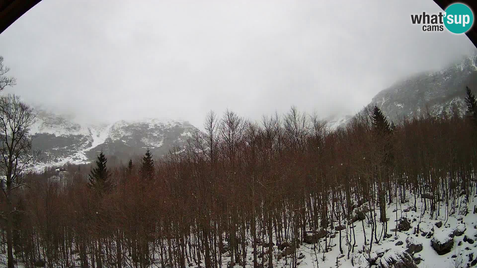 Livecam PLANINA RAZOR (1315) | vue sur Vogel et Globoko