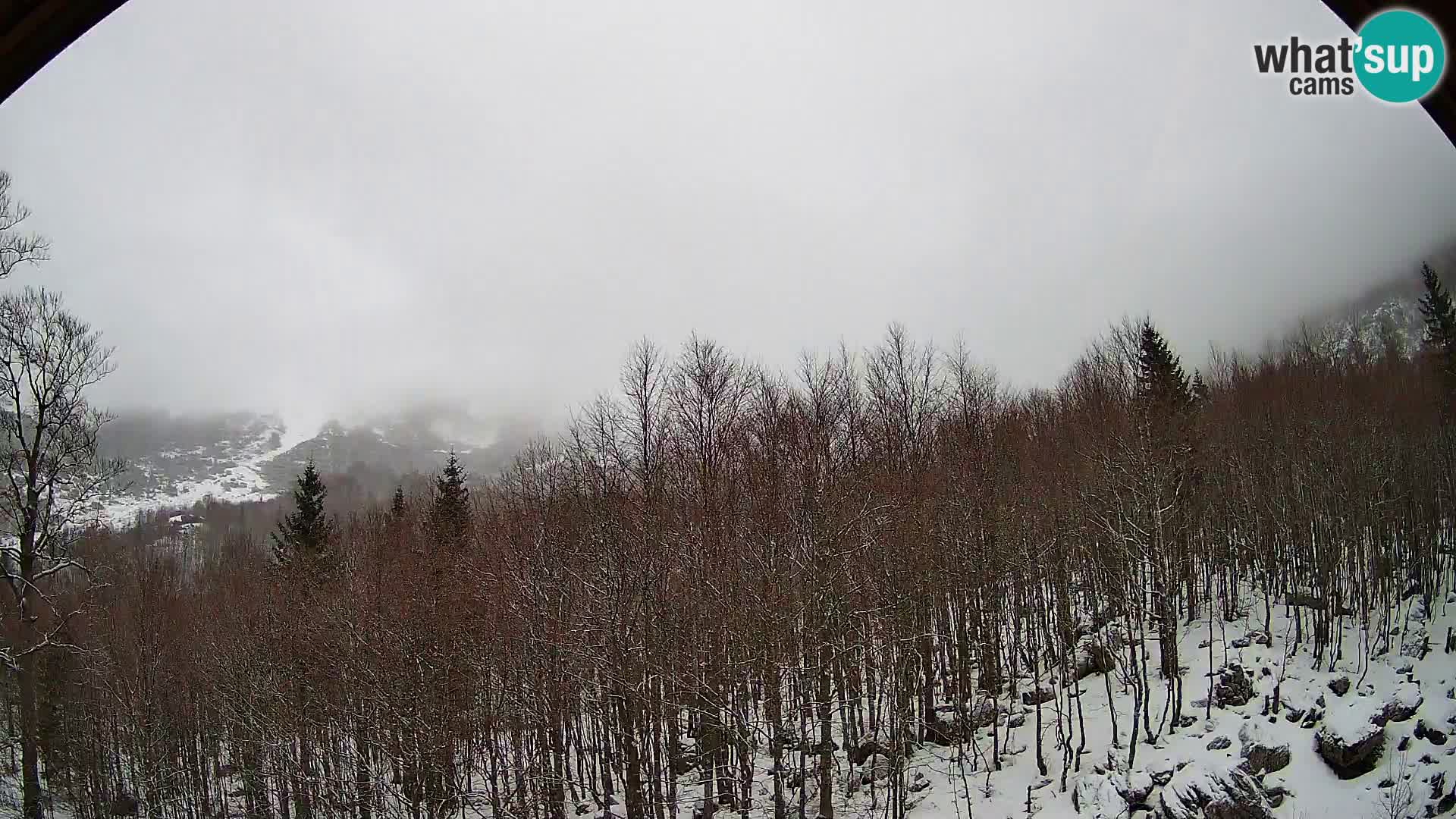 Webcam PLANINA RAZOR (1315) | Blick auf Vogel und Globoko