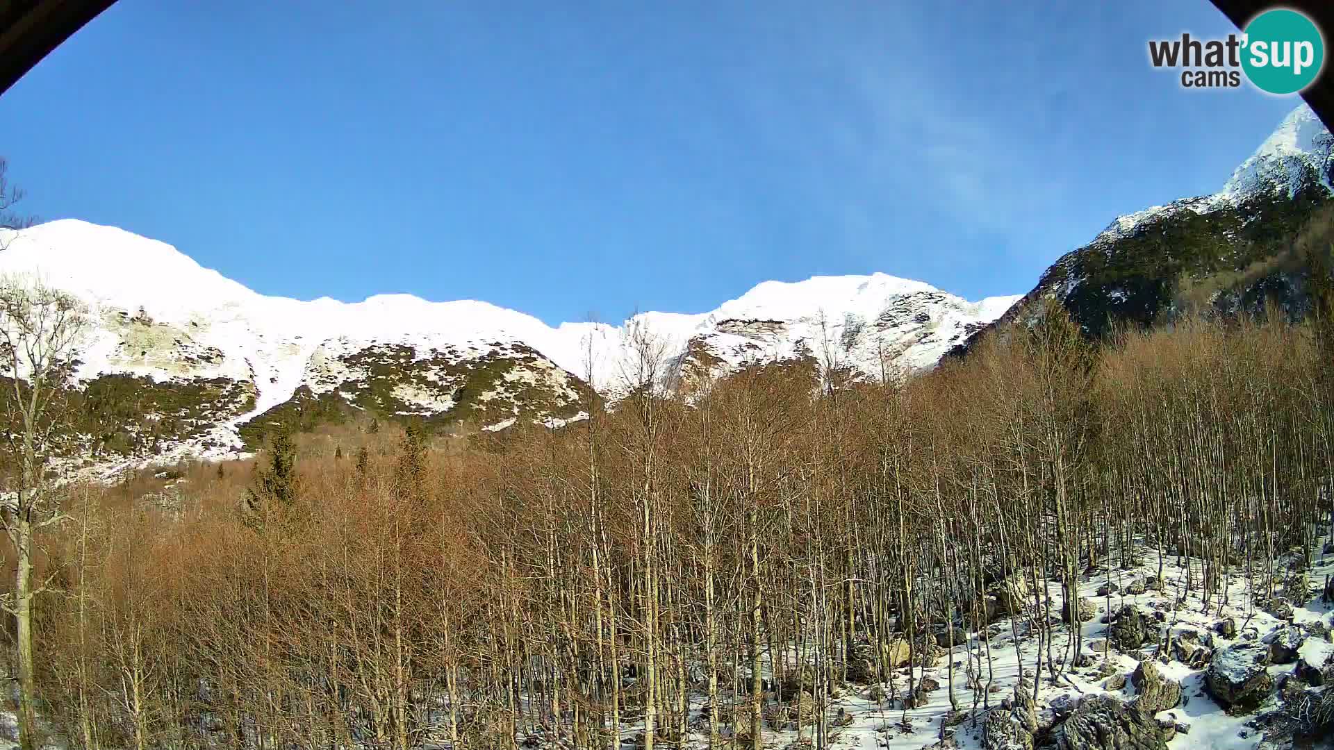 PLANINA RAZOR webcam (1315) | view to Vogel and Globoko