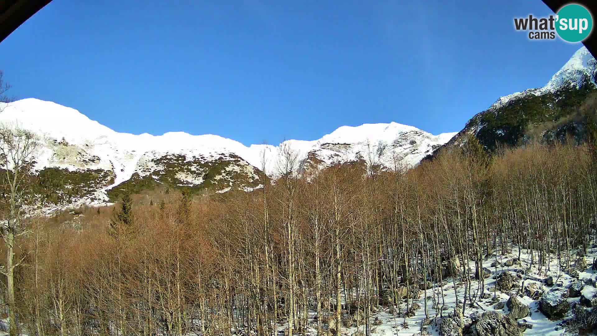 Webcam PLANINA RAZOR (1315) | Blick auf Vogel und Globoko