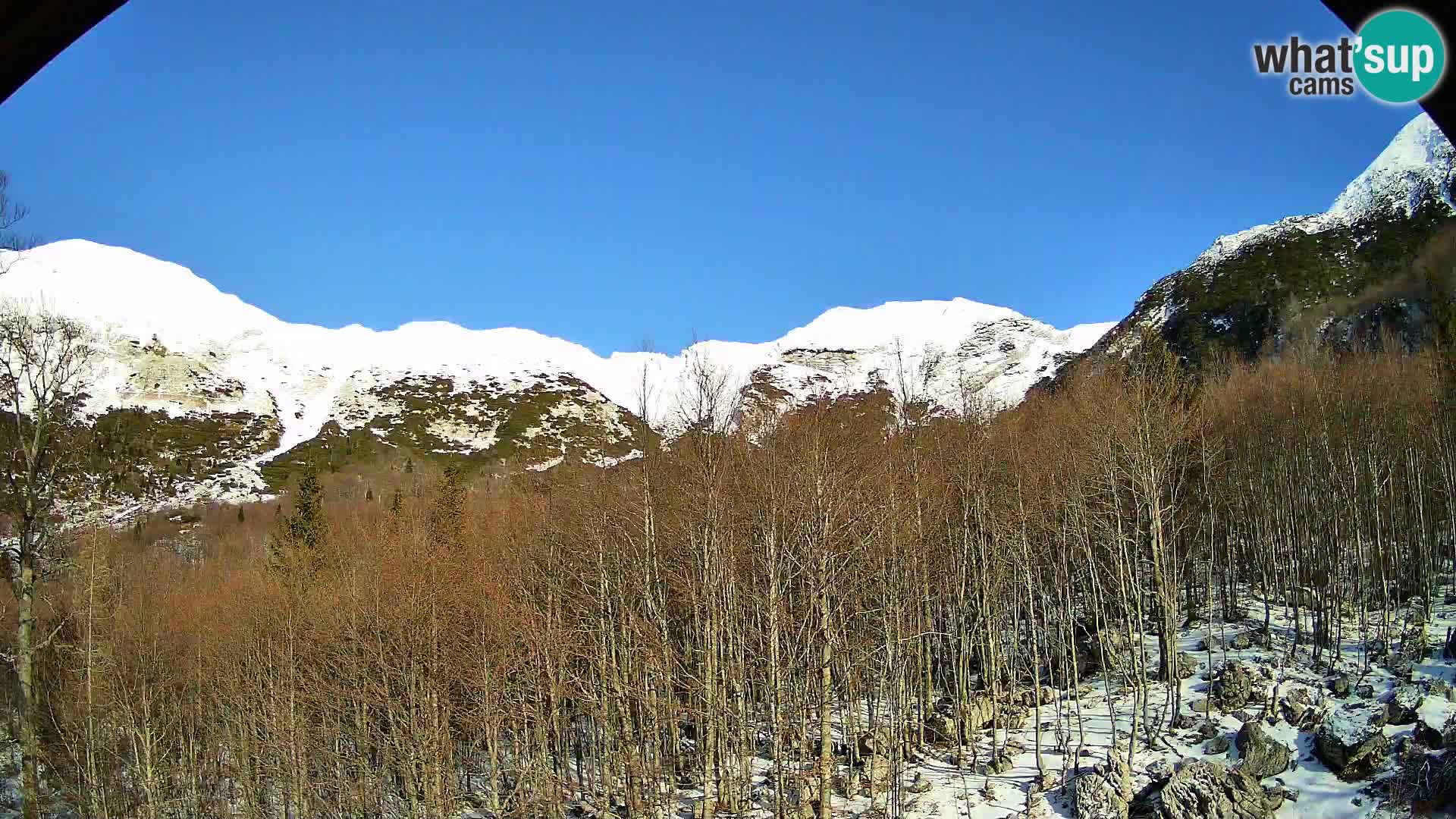 PLANINA RAZOR webcam (1315) | view to Vogel and Globoko