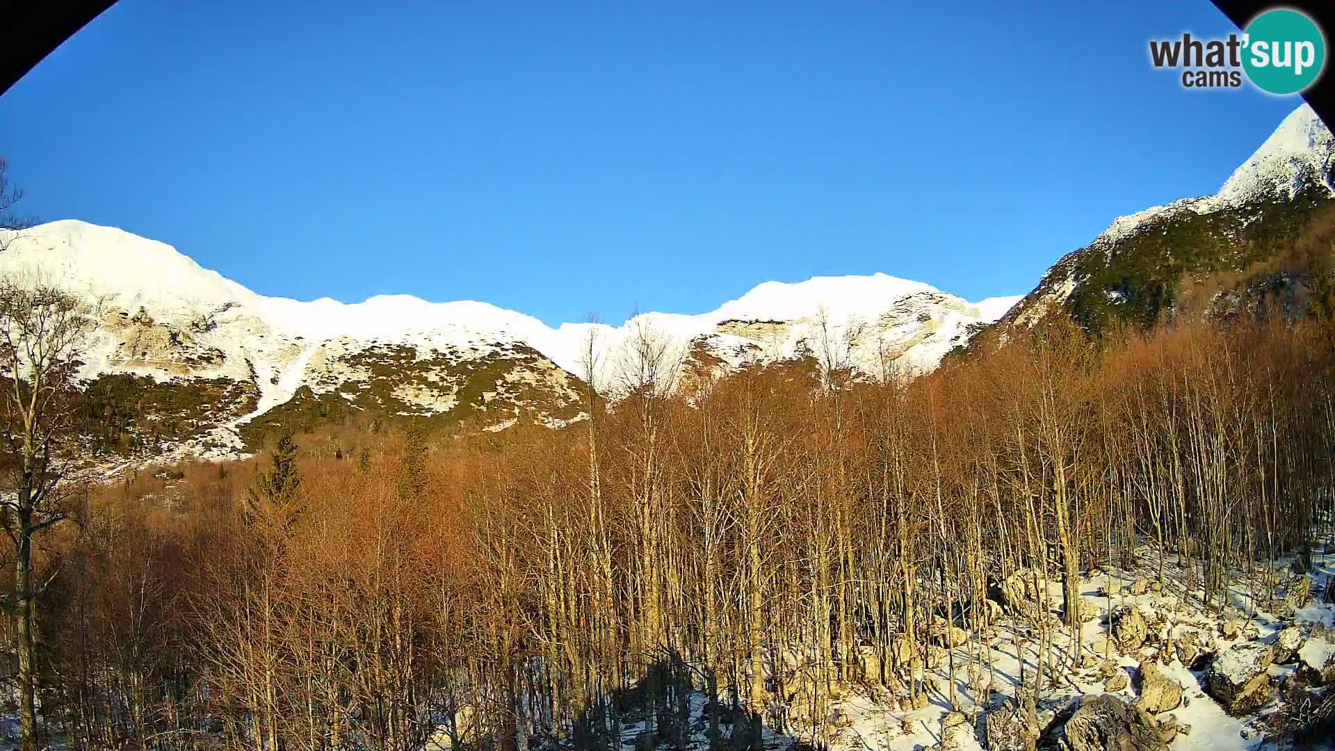 PLANINA RAZOR Live Cam (1315) | vista su Vogel e Globoko