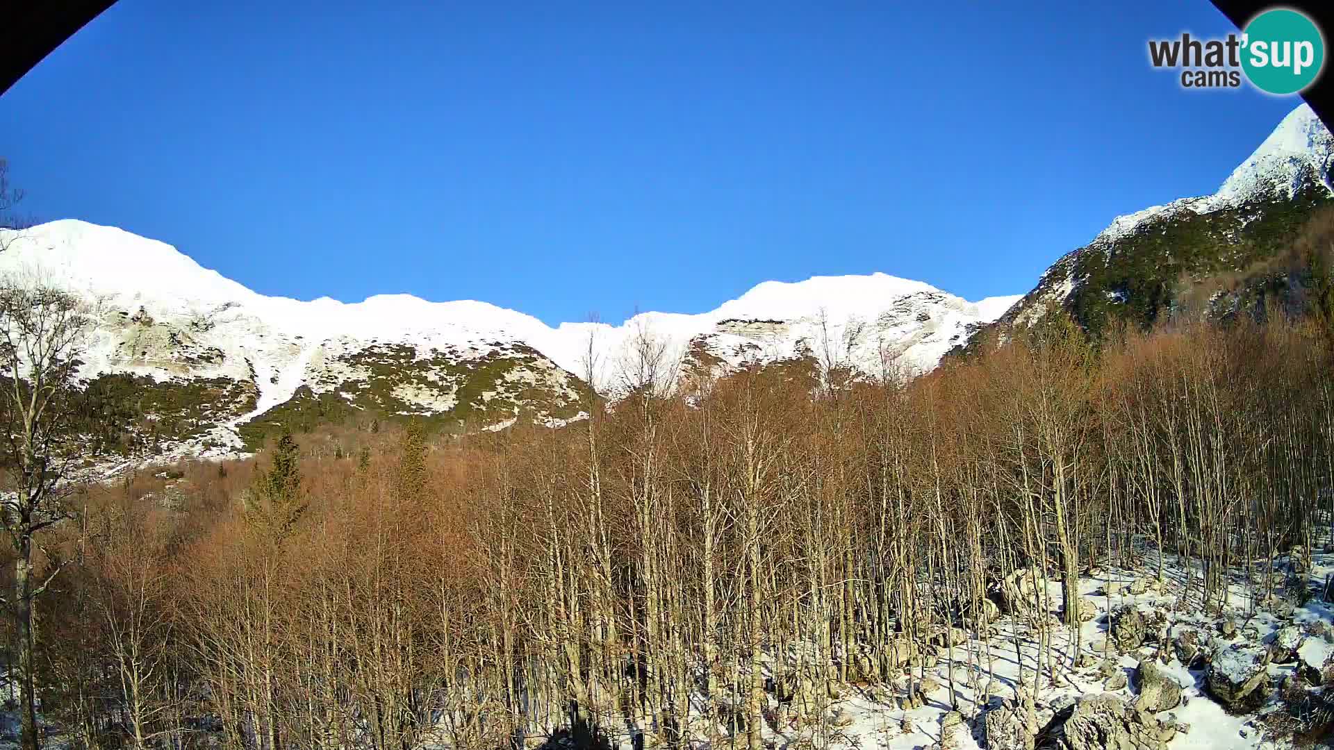 Livecam PLANINA RAZOR (1315) | vue sur Vogel et Globoko