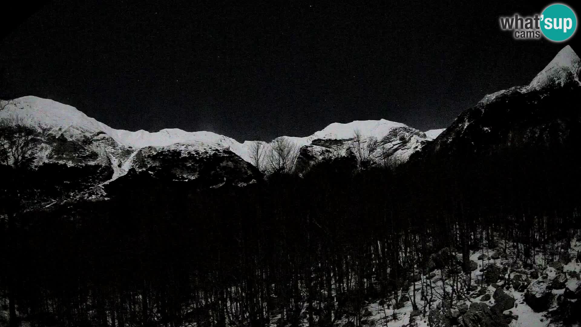 Webcam PLANINA RAZOR (1315) | Blick auf Vogel und Globoko