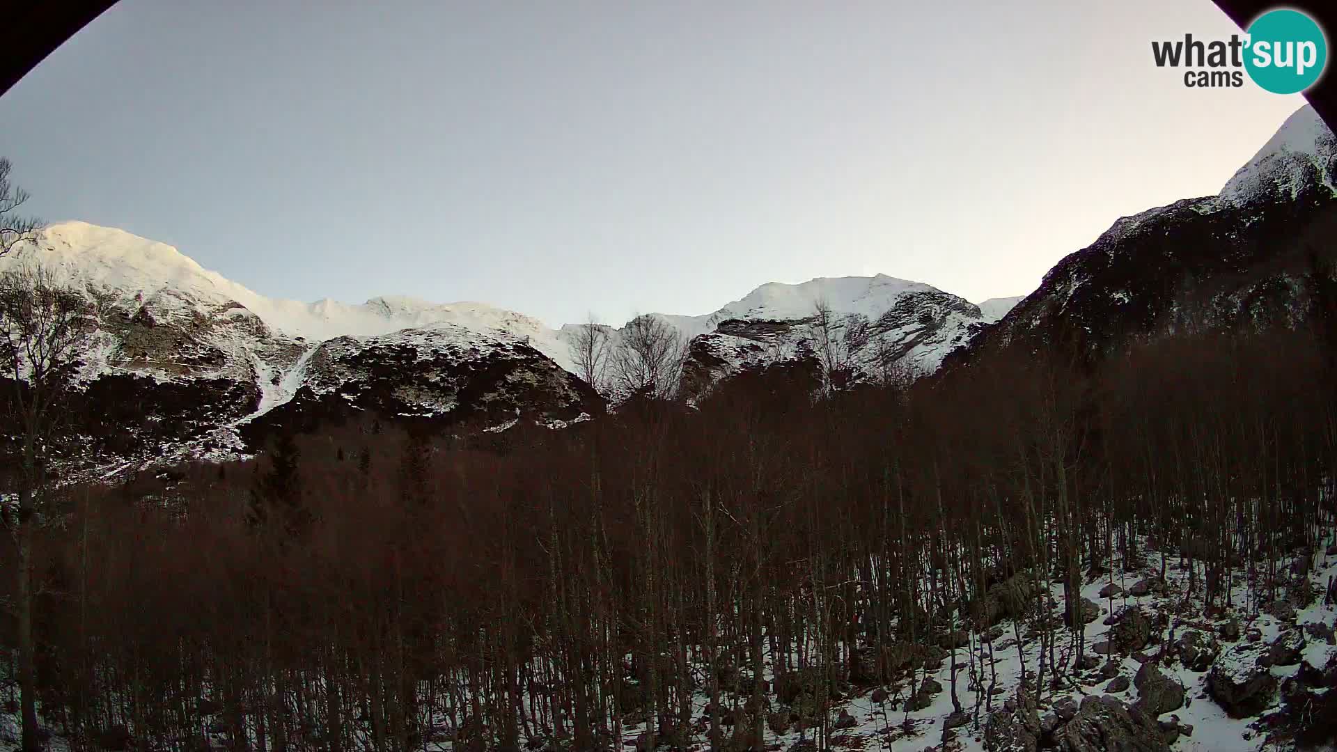 Webcam PLANINA RAZOR (1315) | Blick auf Vogel und Globoko