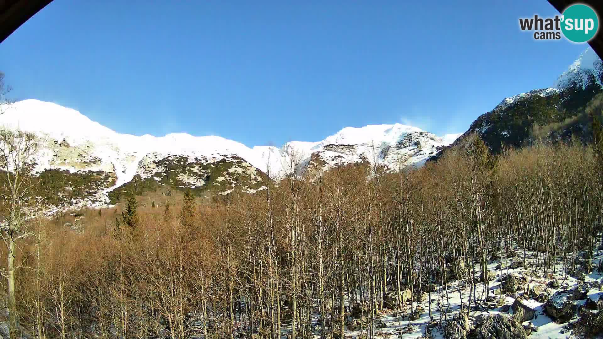 PLANINA RAZOR kamera (1315) | pogled na Vogel in Globoko