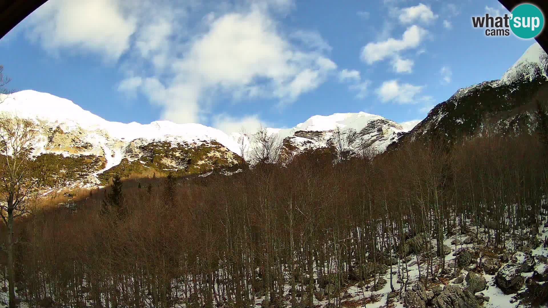 PLANINA RAZOR webcam (1315) | view to Vogel and Globoko