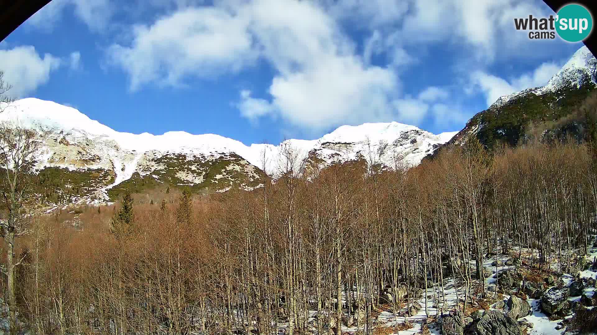 PLANINA RAZOR webcam (1315) | view to Vogel and Globoko