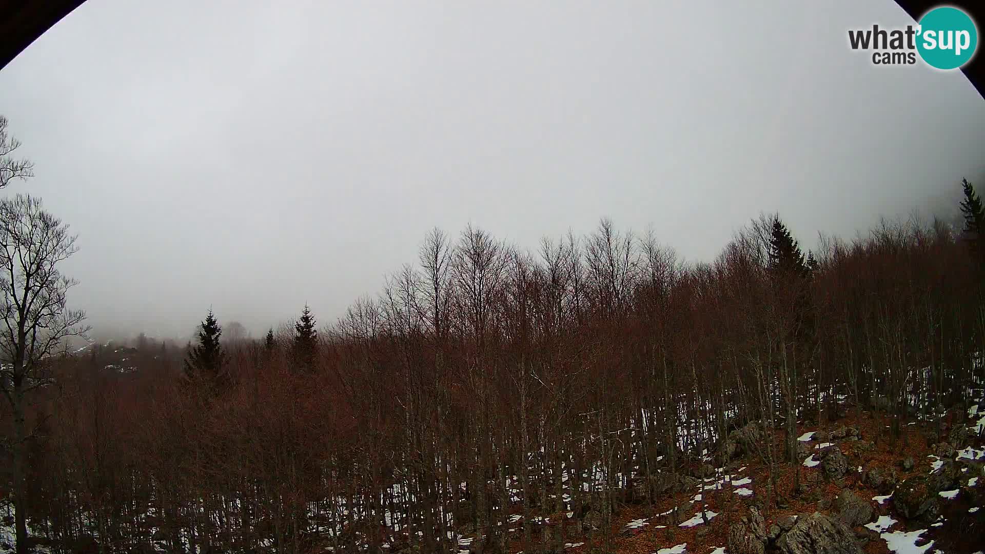 PLANINA RAZOR Live Cam (1315) | vista su Vogel e Globoko