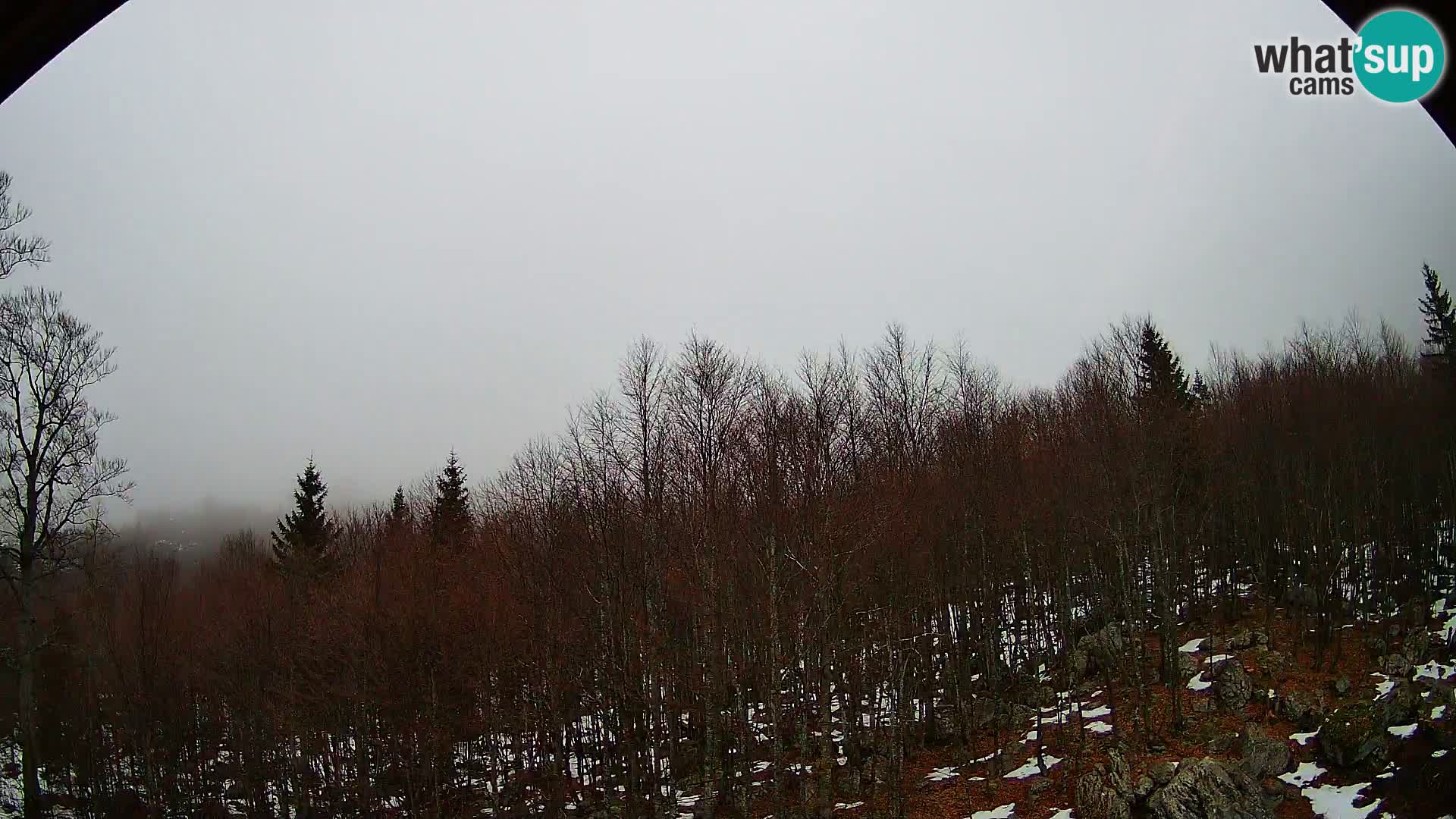 Webcam PLANINA RAZOR (1315) | Blick auf Vogel und Globoko