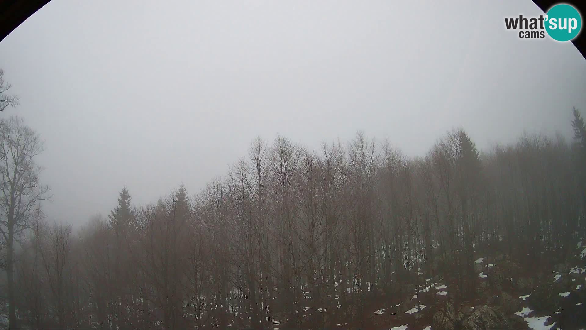 PLANINA RAZOR webcam (1315) | view to Vogel and Globoko